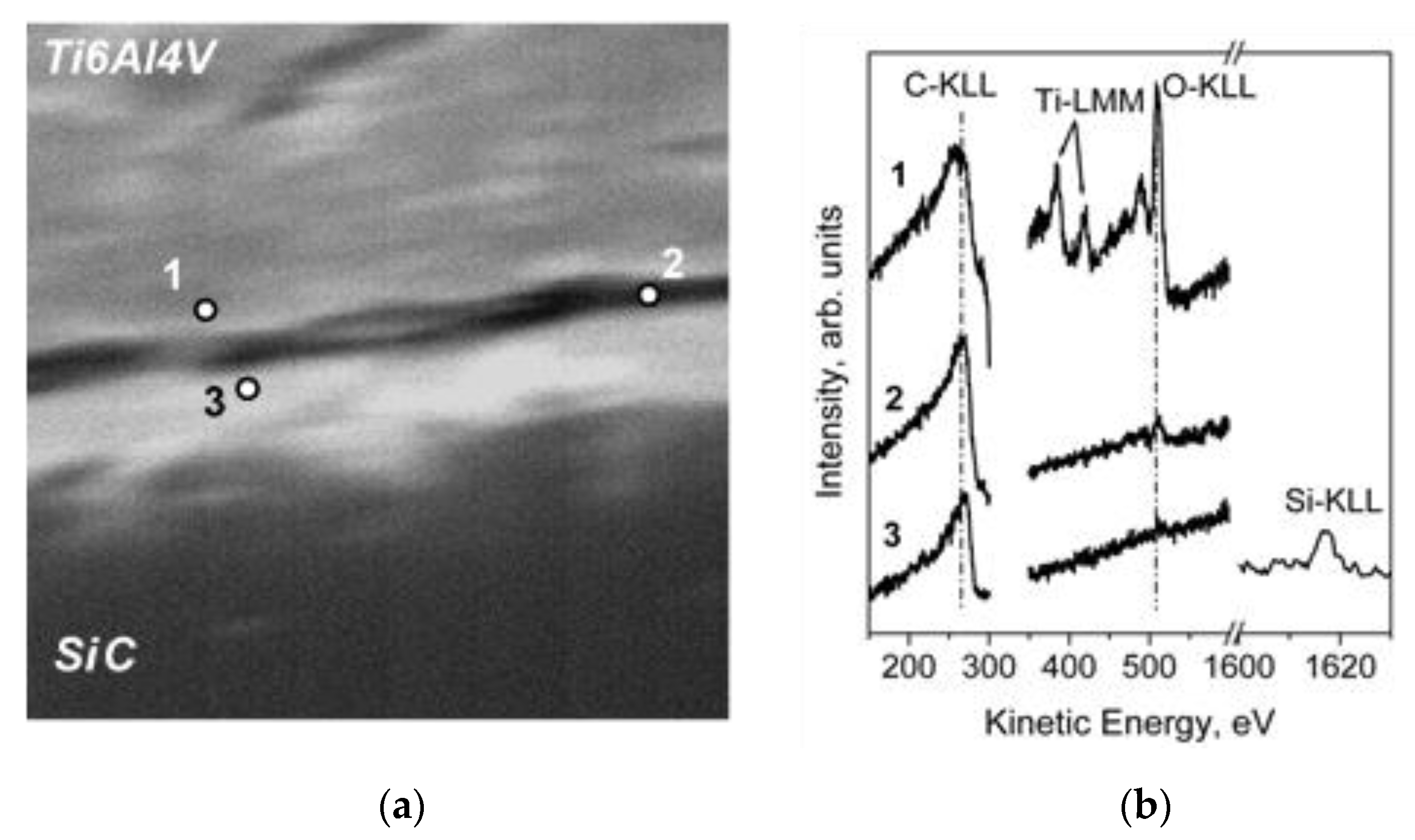 Coatings 10 01182 g018