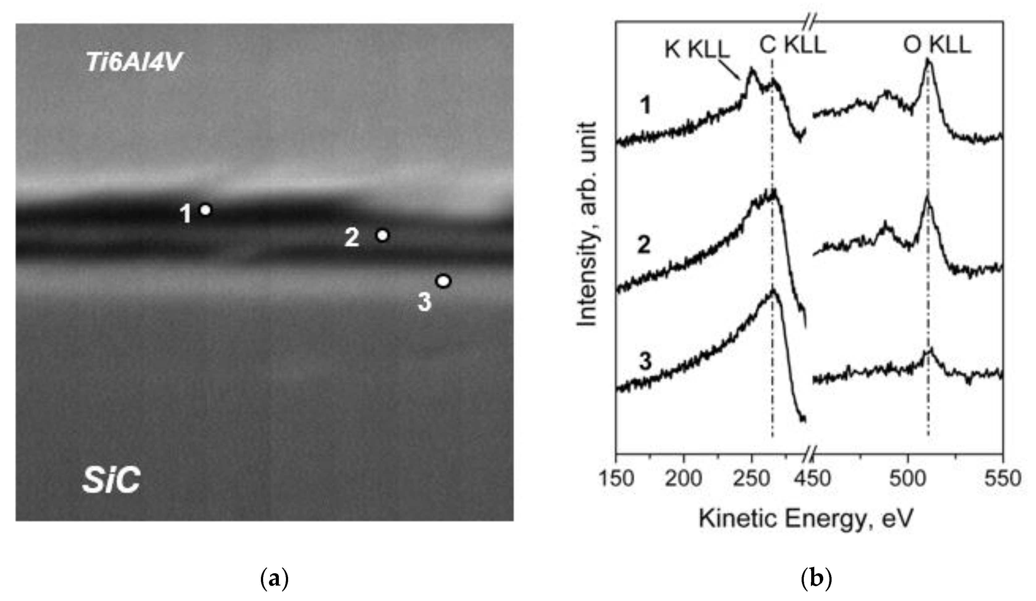 Coatings 10 01182 g019