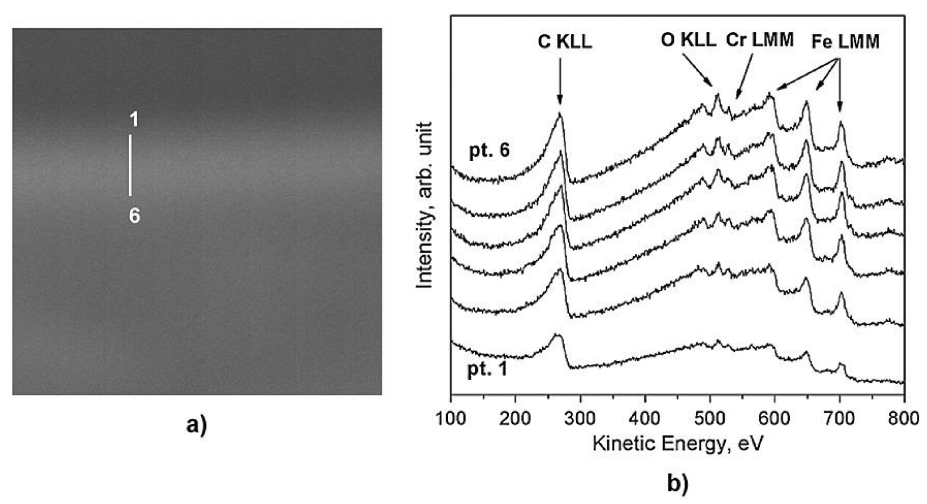 Coatings 10 01182 g024