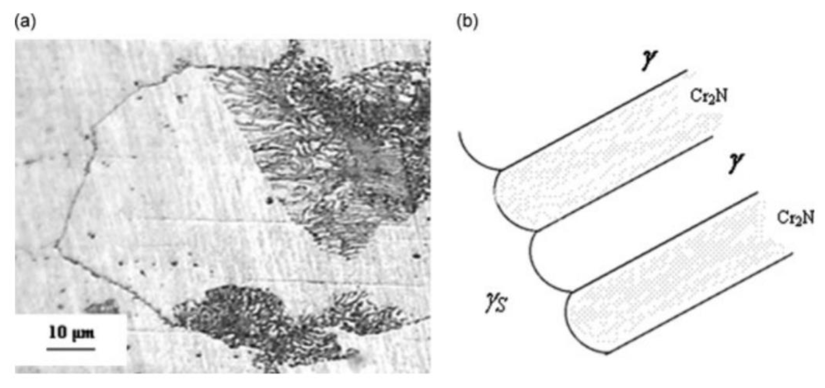 Coatings 10 01182 g026