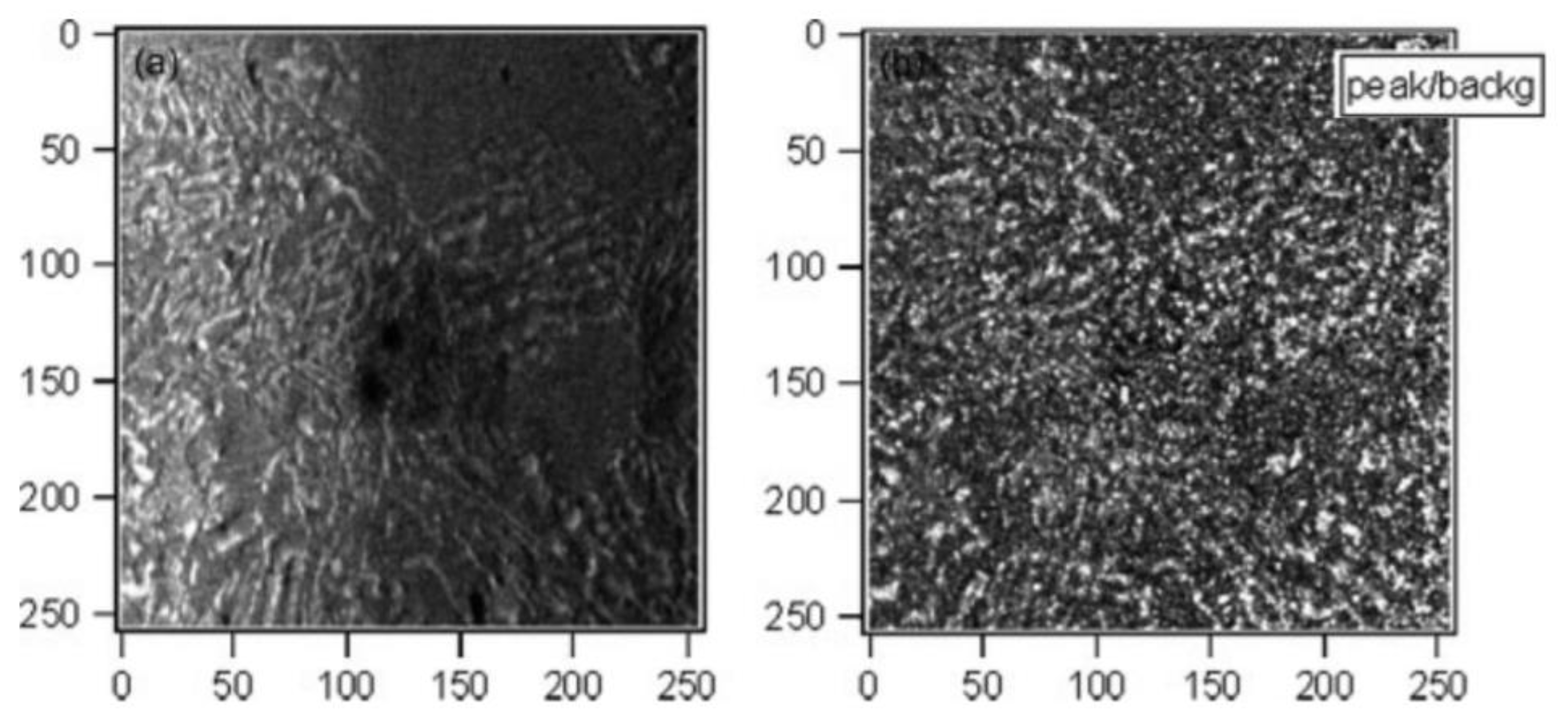 Coatings 10 01182 g027