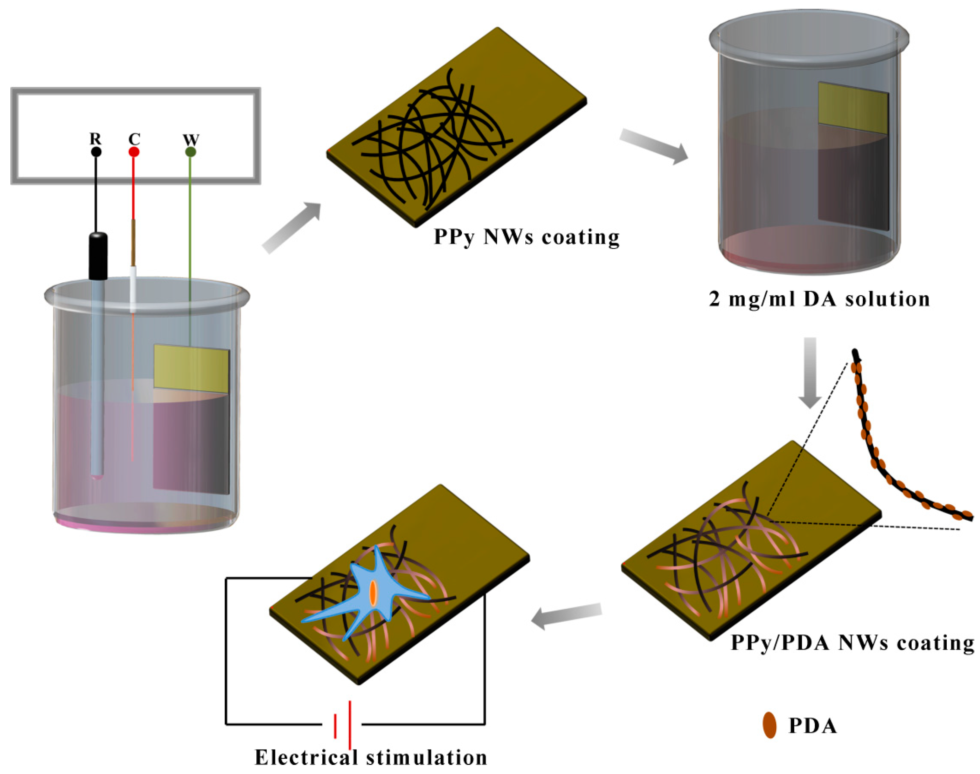 Coatings 10 01189 g001 Coatings 10 01189 g001