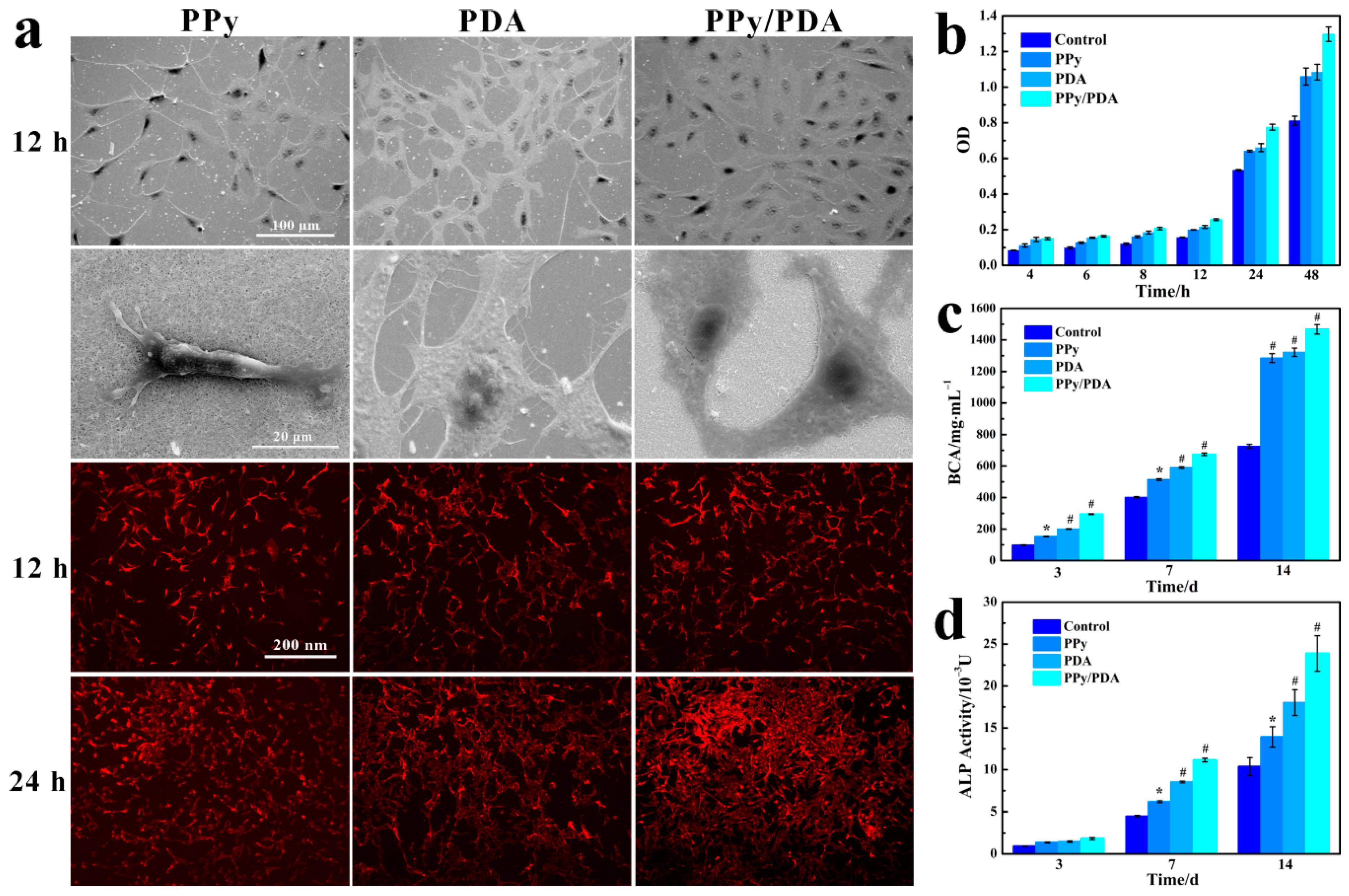 Coatings 10 01189 g005 Coatings 10 01189 g005