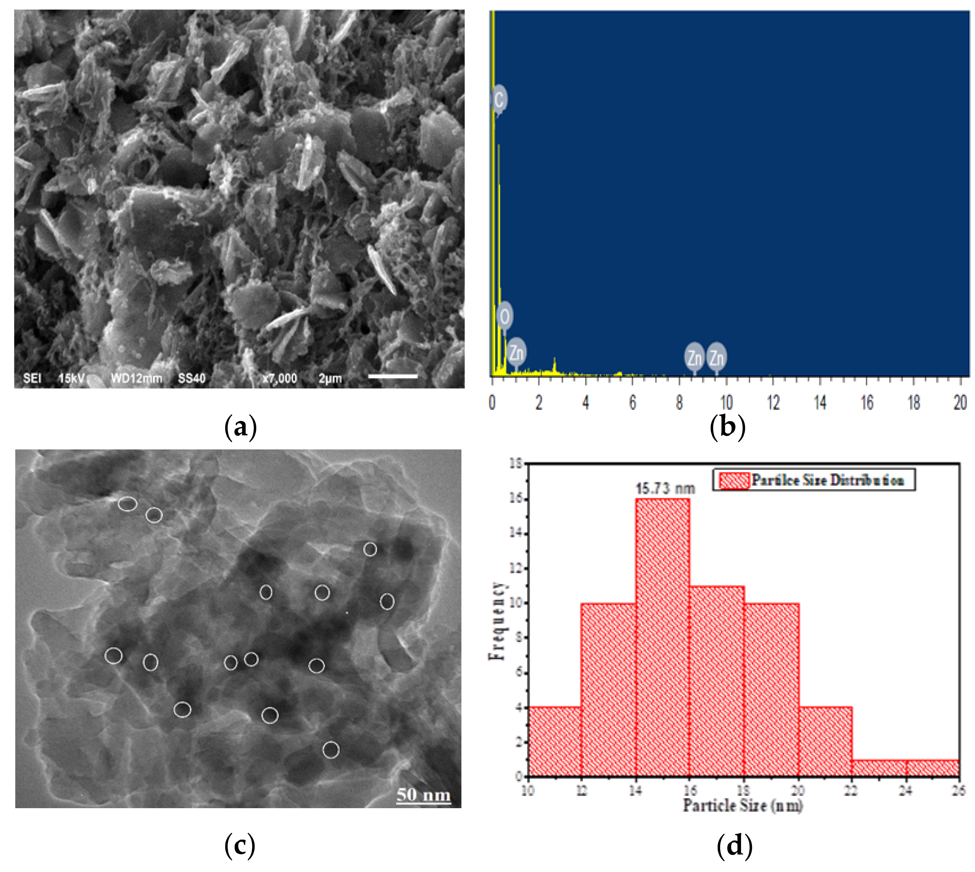 Coatings 10 01190 g005 Coatings 10 01190 g005