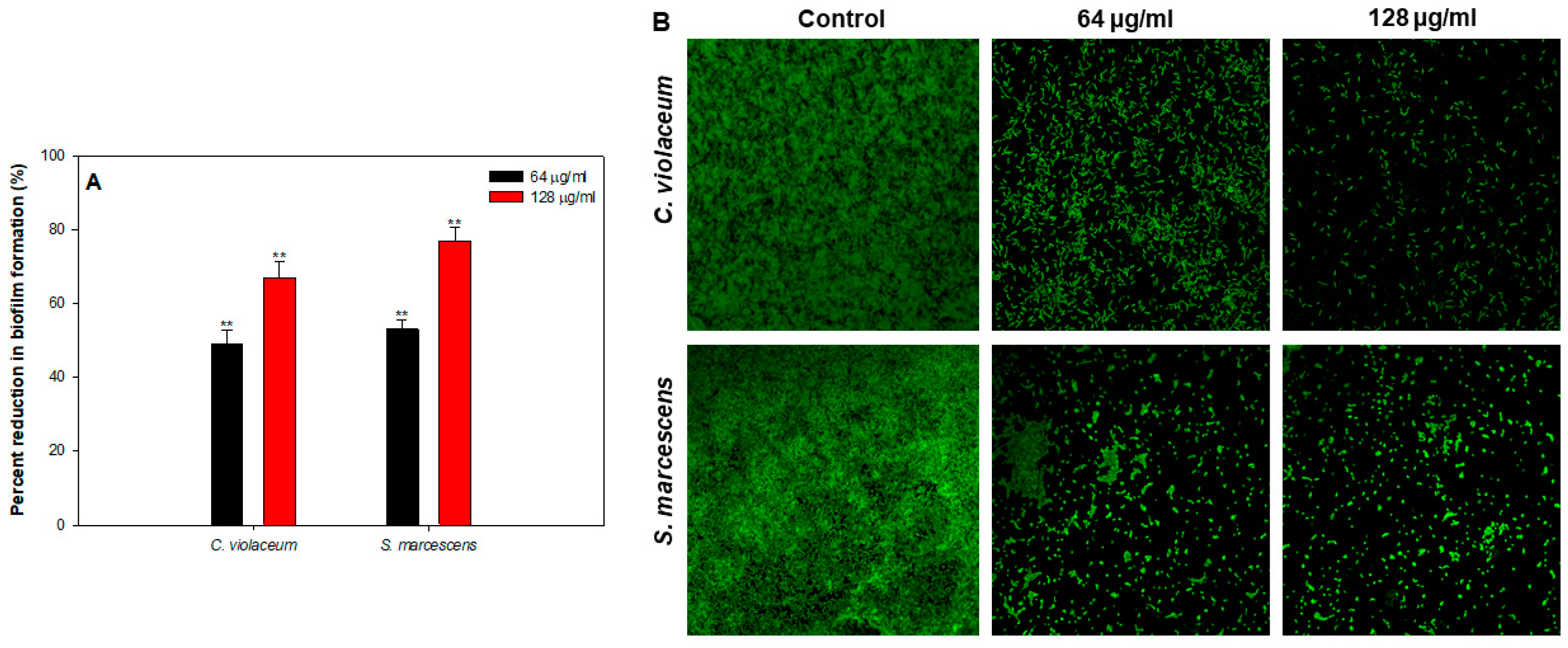 Coatings 10 01190 g009 Coatings 10 01190 g009
