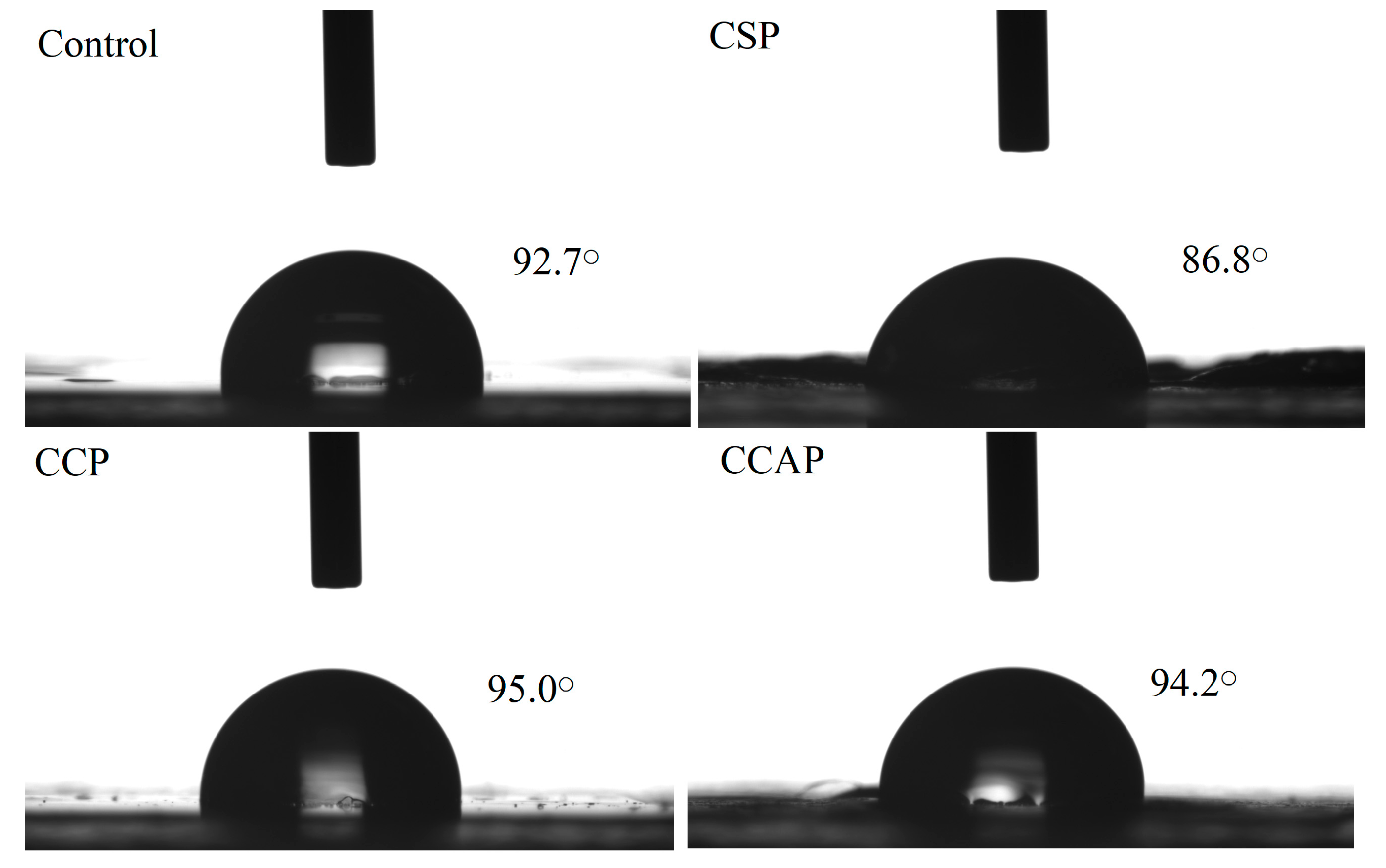 Coatings 10 01193 g003