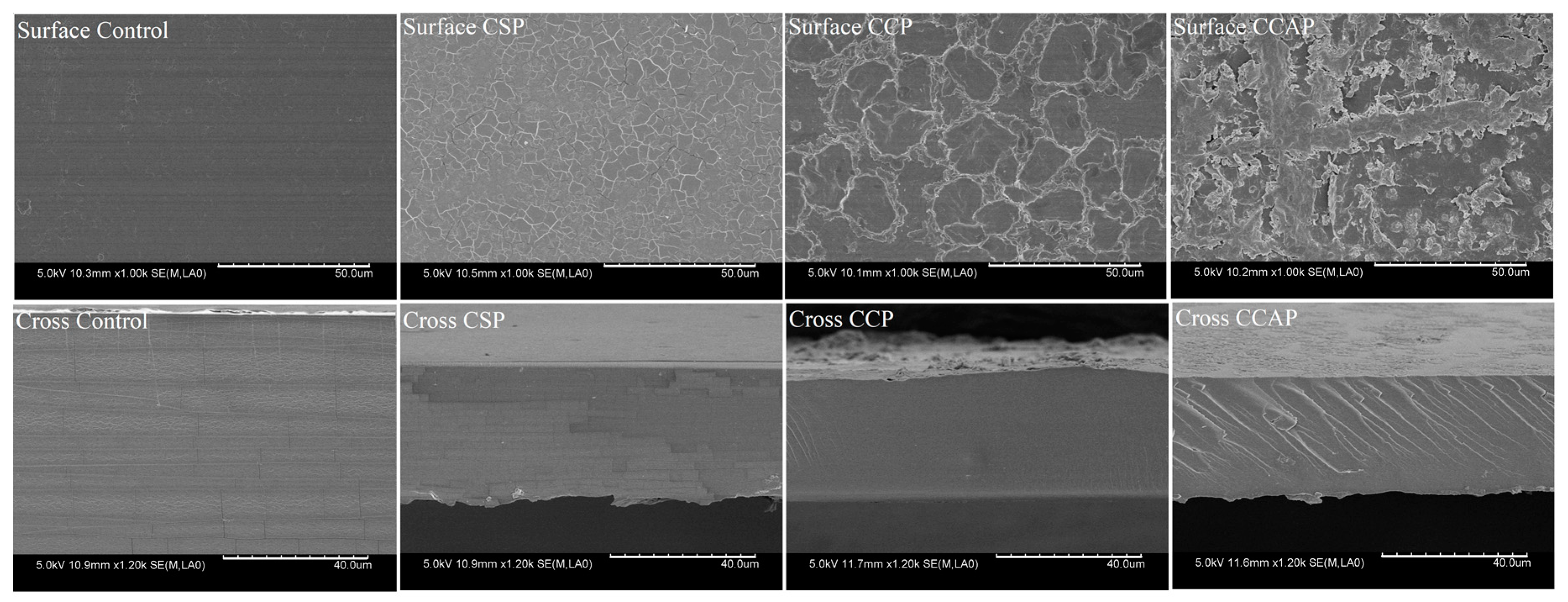 Coatings 10 01193 g008