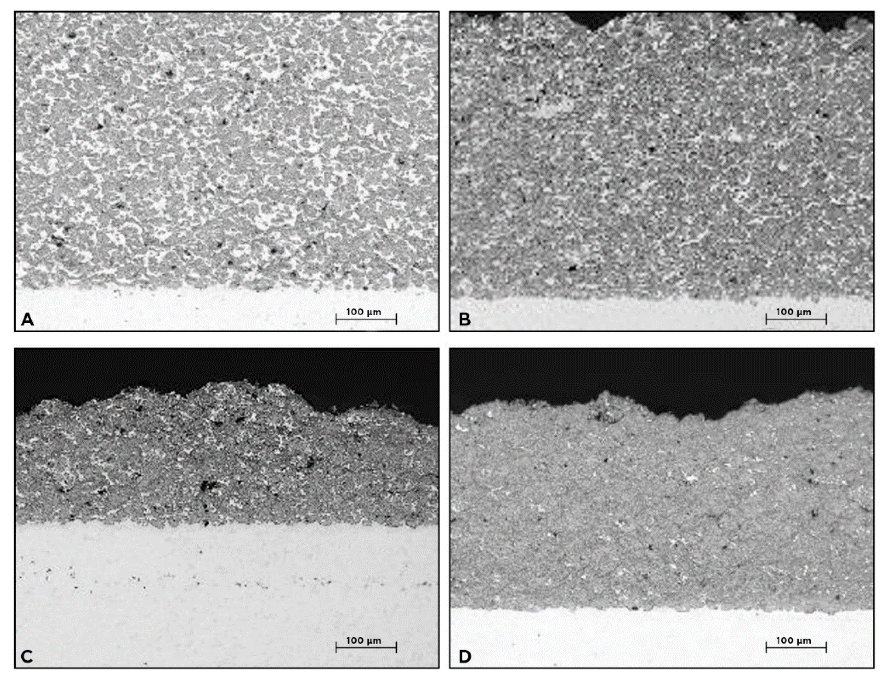 Coatings 10 01196 g004 Coatings 10 01196 g004