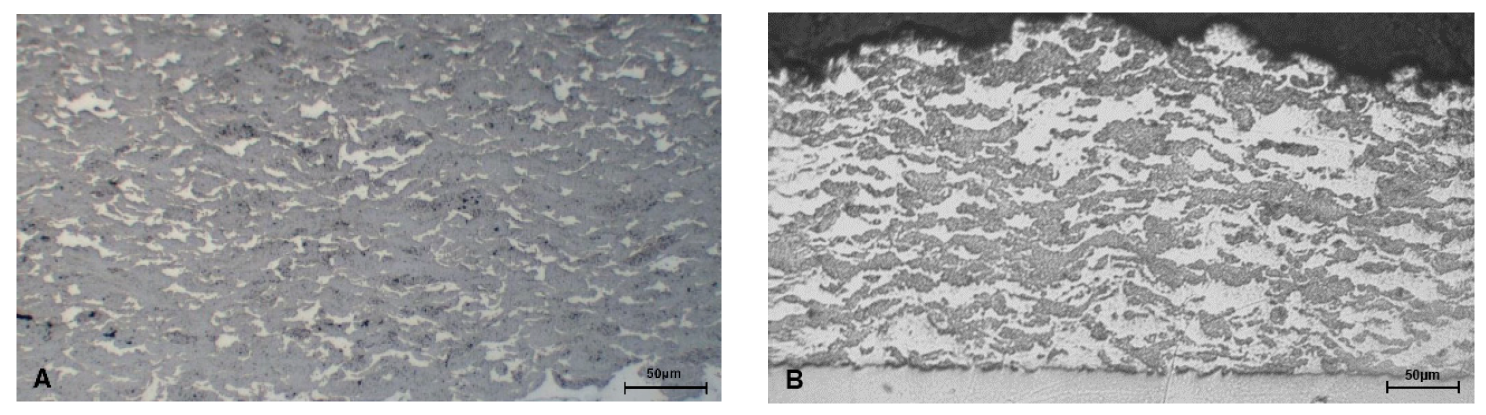 Coatings 10 01196 g005 Coatings 10 01196 g005