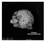 Coatings 10 01196 i002 Coatings 10 01196 i002