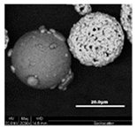 Coatings 10 01196 i004 Coatings 10 01196 i004