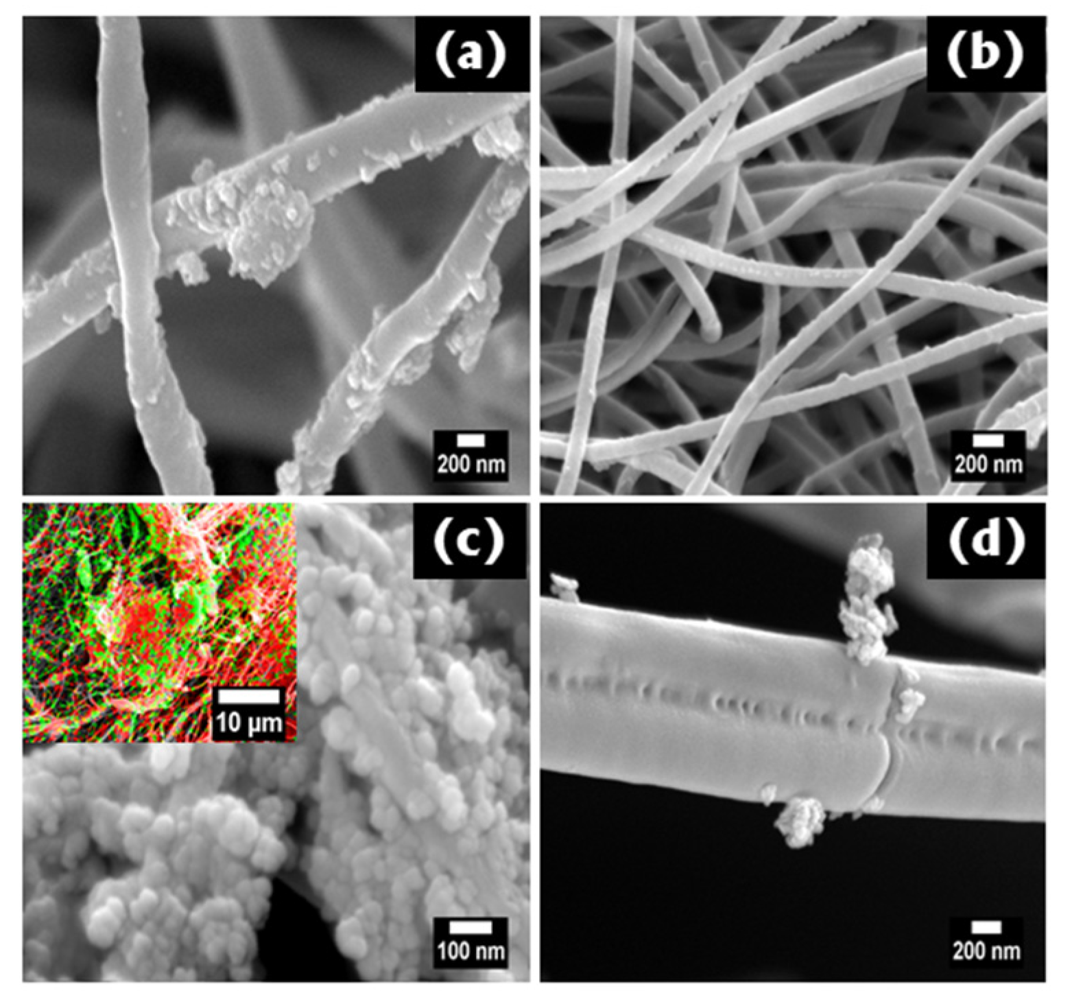 Coatings 10 01199 g002 Coatings 10 01199 g002
