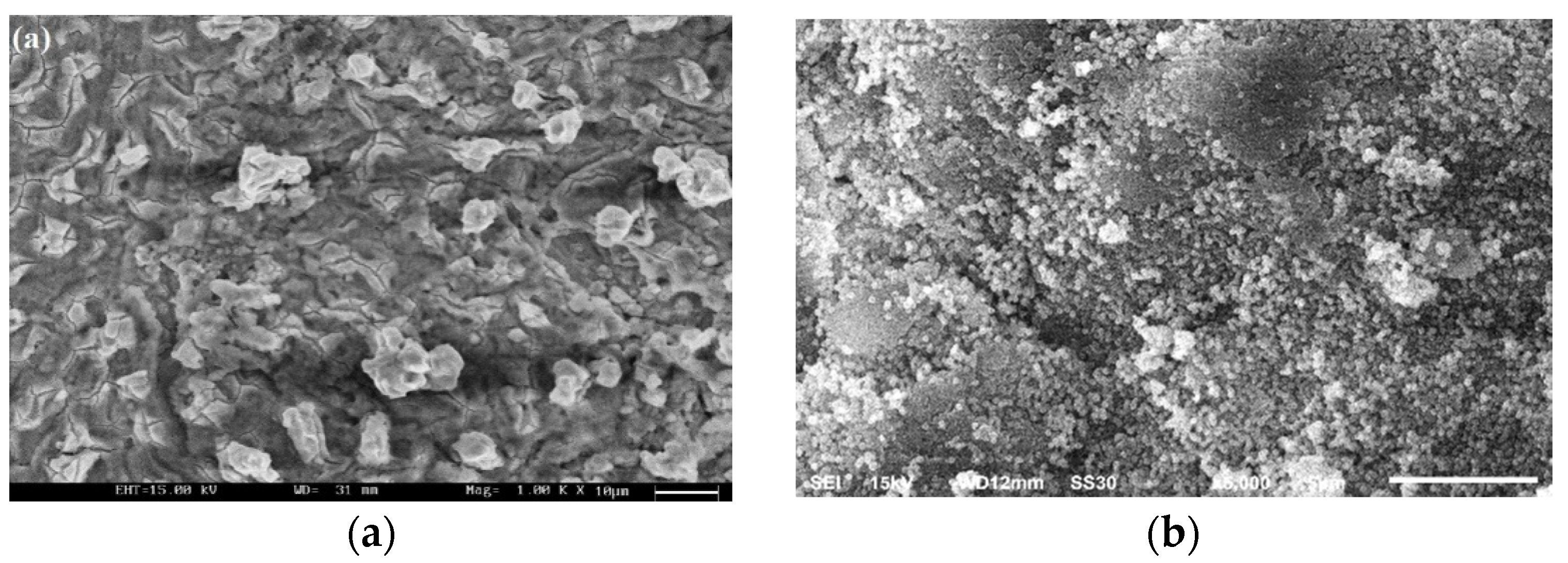 Coatings 10 01200 g003a Coatings 10 01200 g003a