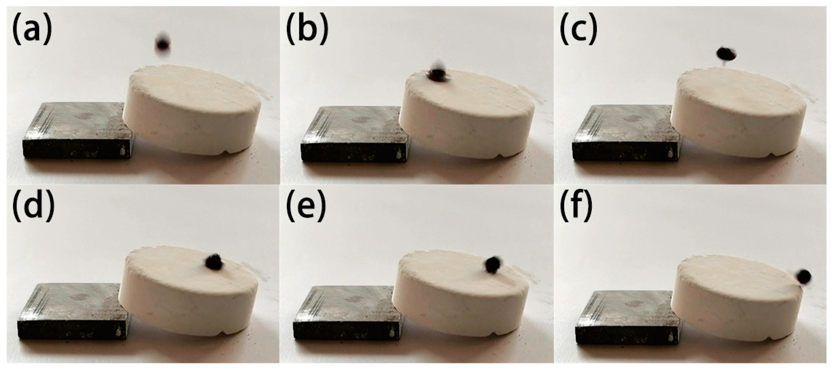 Coatings 10 01202 g003