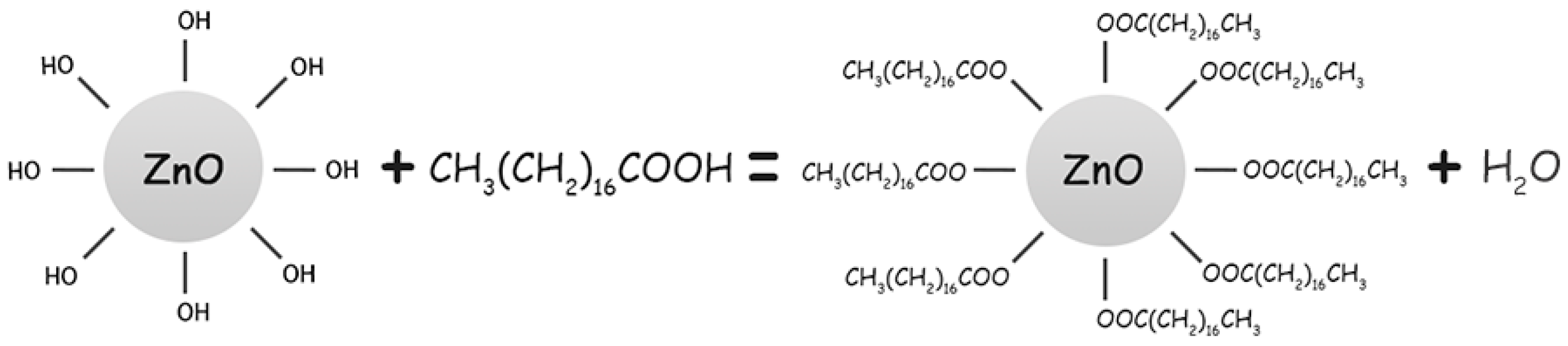 Coatings 10 01202 g006