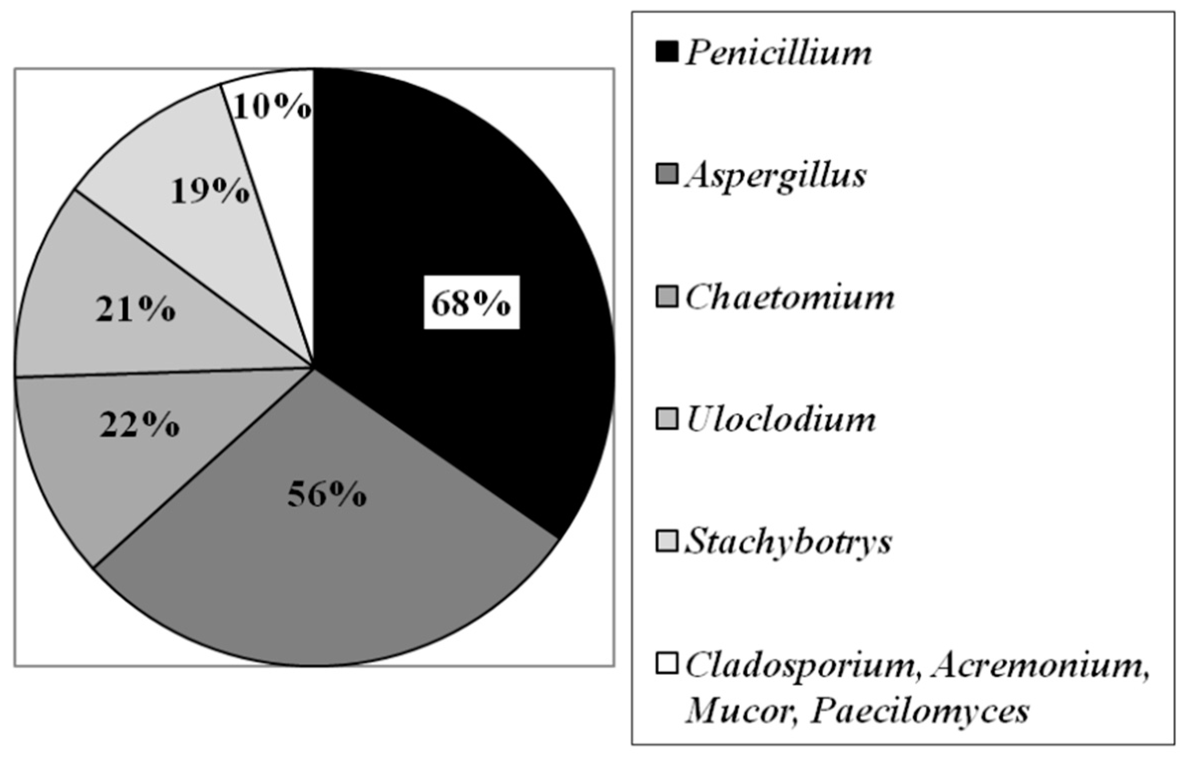 Coatings 10 01203 g005