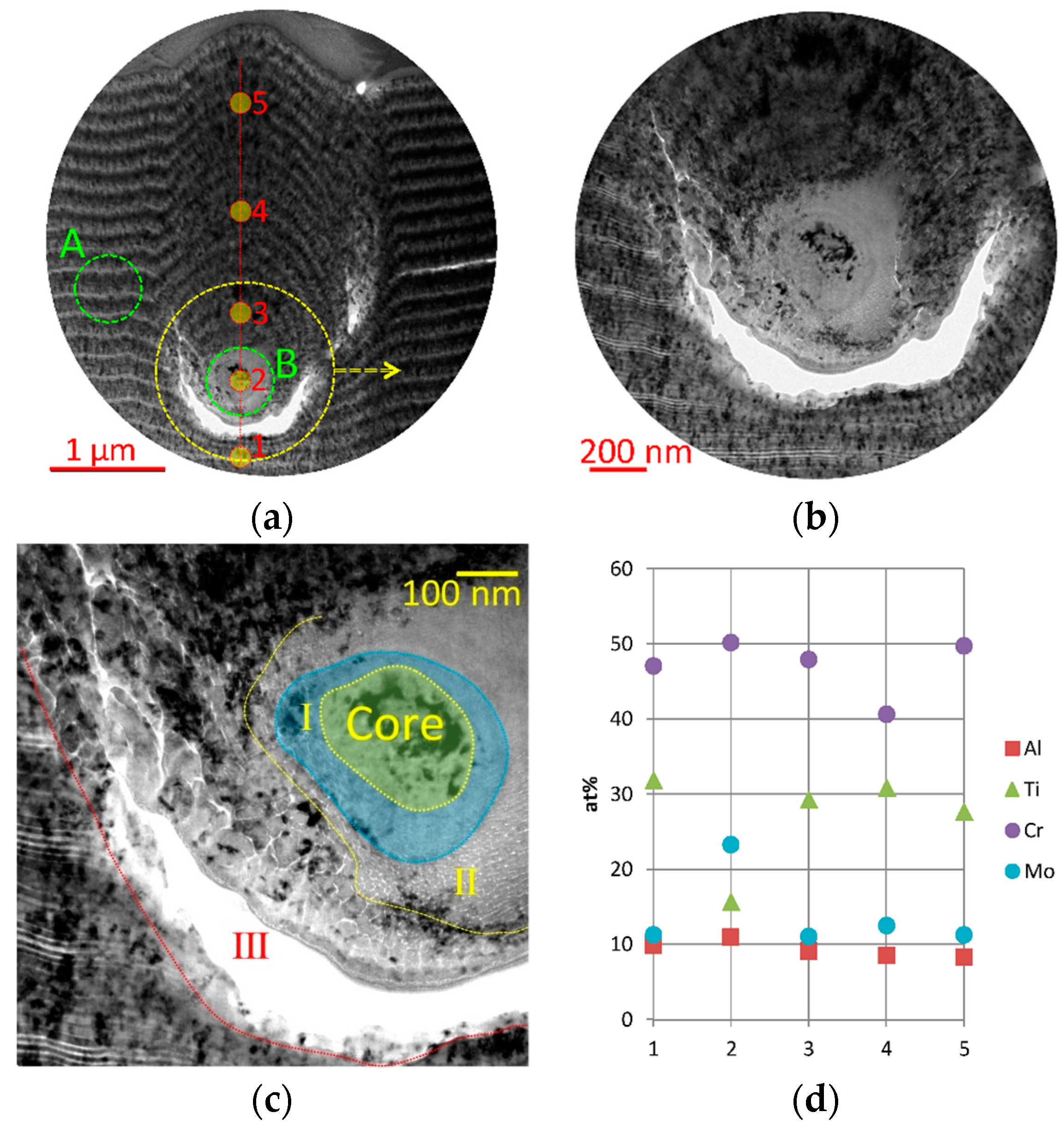 Coatings 10 01204 g001a