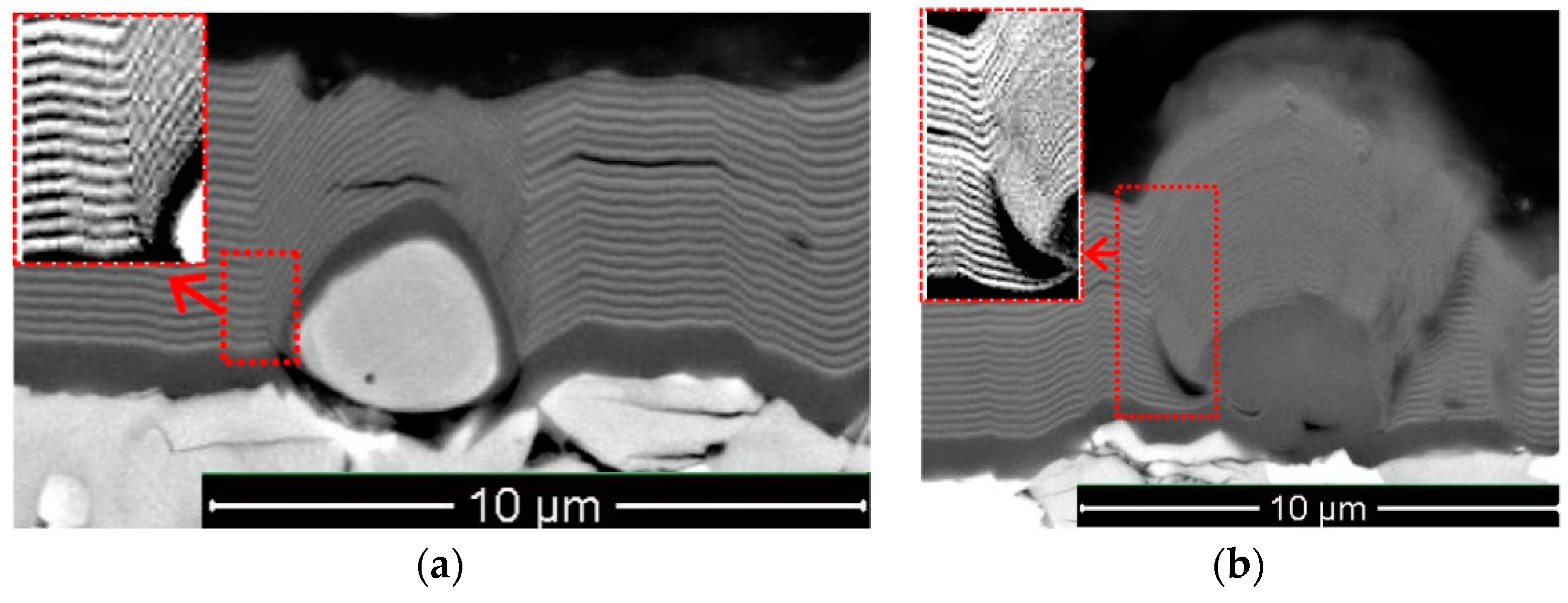 Coatings 10 01204 g003a