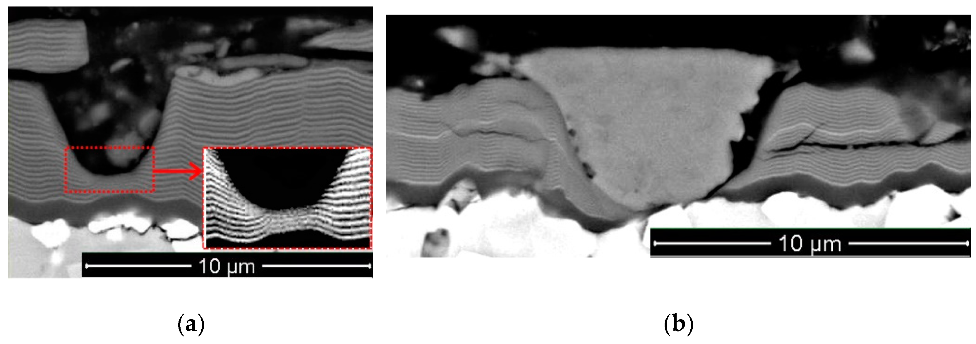 Coatings 10 01204 g004