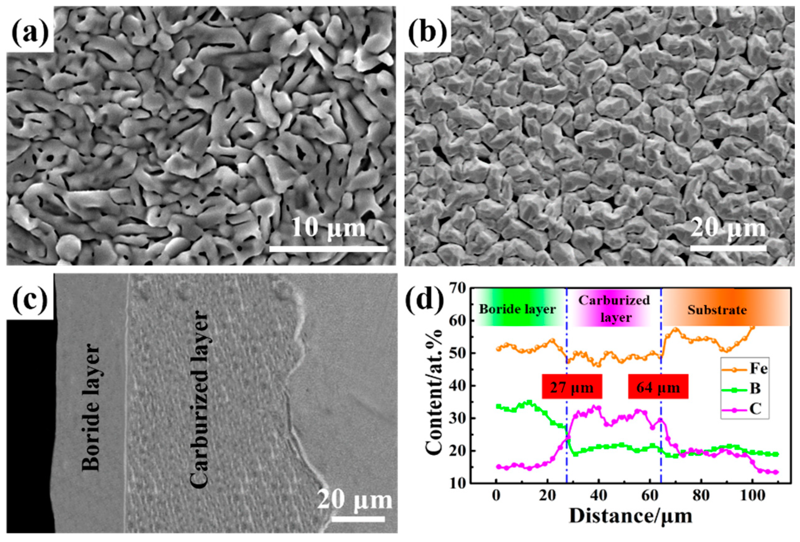 Coatings 10 01205 g002 550
