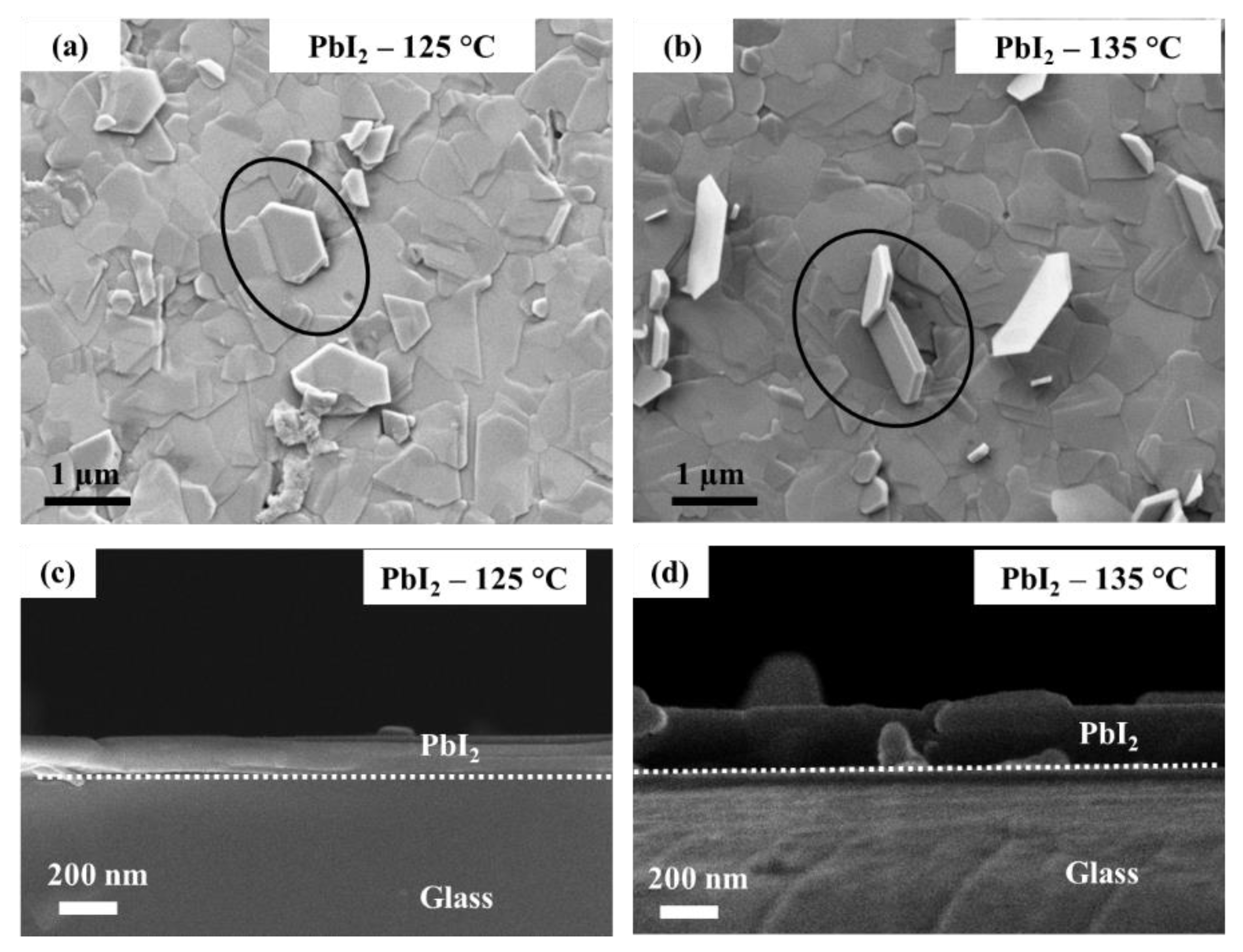 Coatings 10 01208 g003 Coatings 10 01208 g003