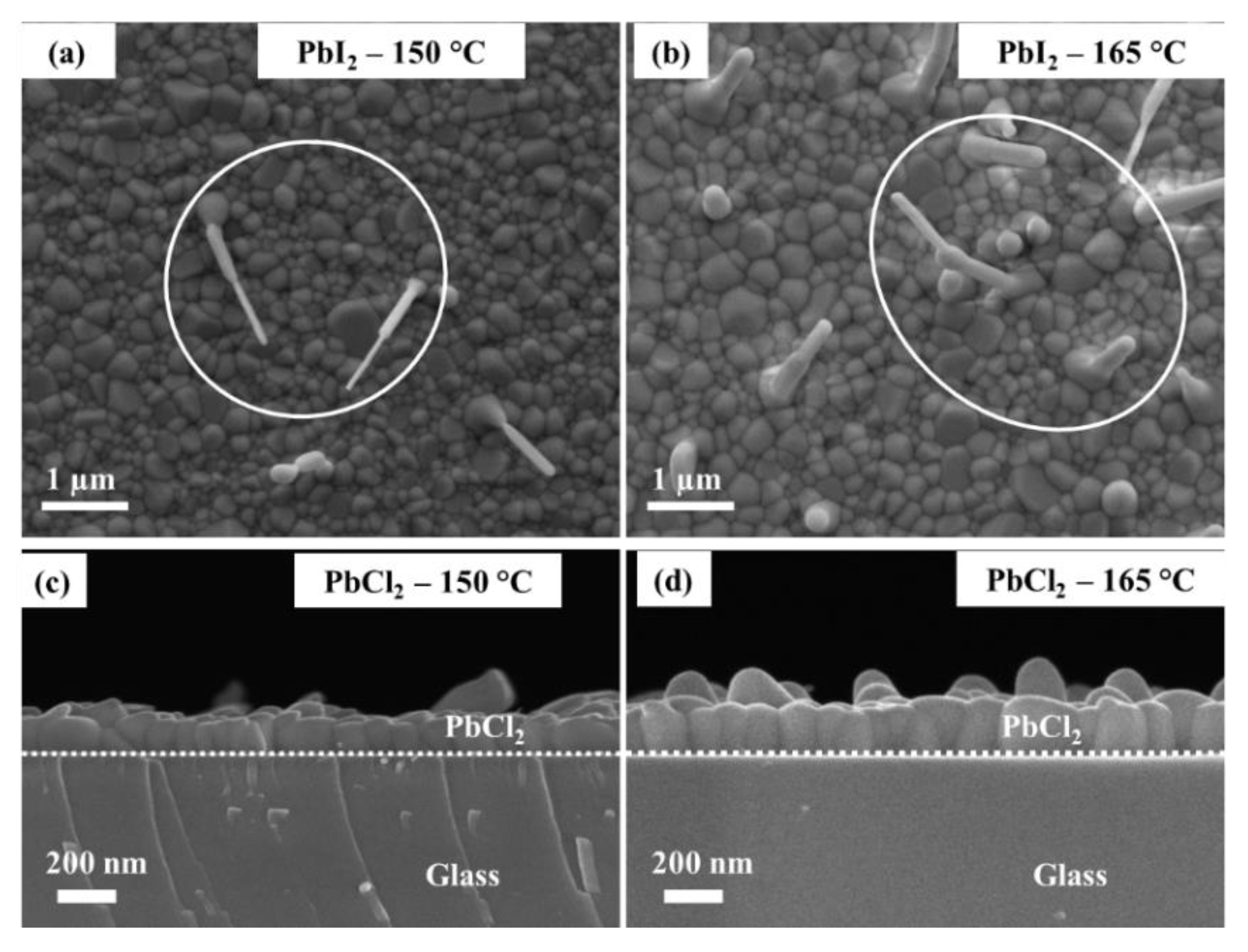Coatings 10 01208 g006 Coatings 10 01208 g006