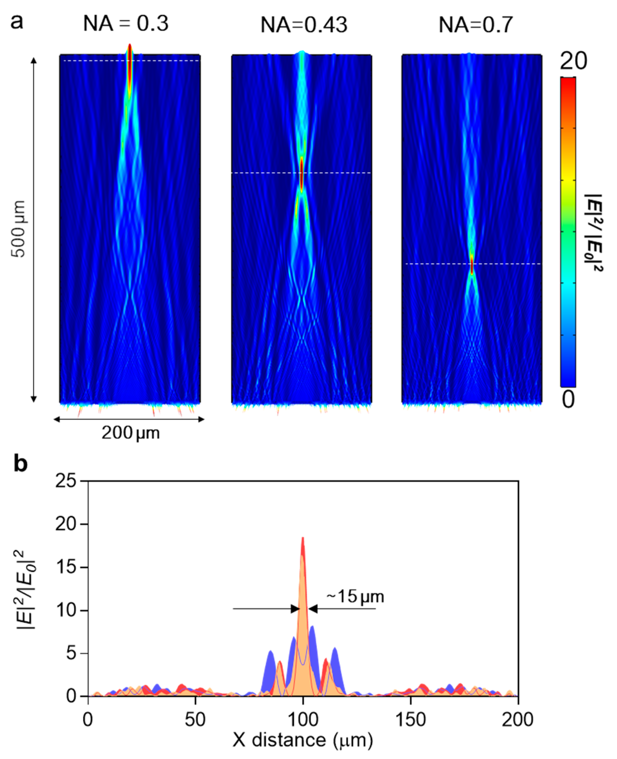 Coatings 10 01218 g003 Coatings 10 01218 g003