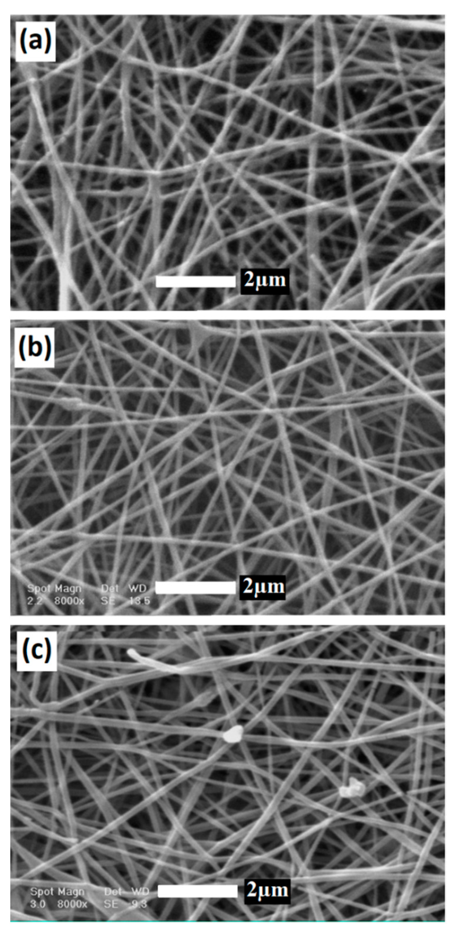 Coatings 10 01220 g001 Coatings 10 01220 g001