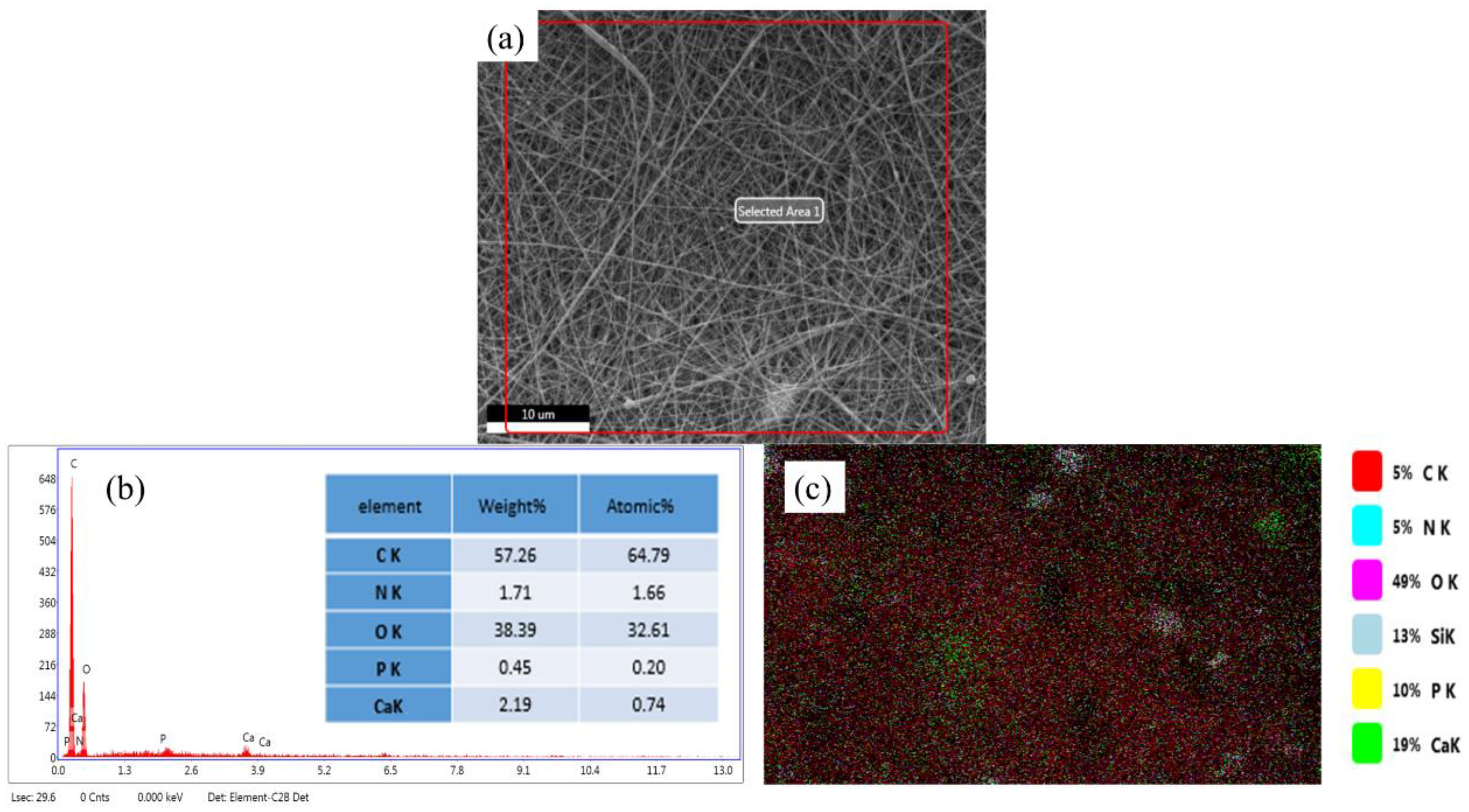Coatings 10 01220 g002 Coatings 10 01220 g002
