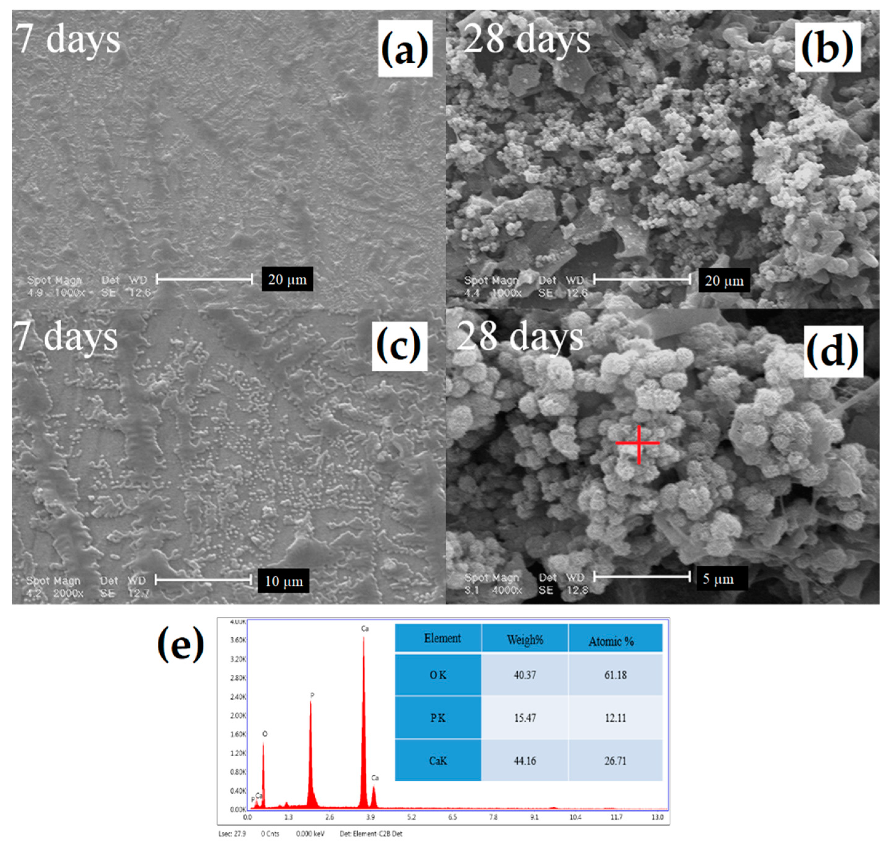 Coatings 10 01220 g006 Coatings 10 01220 g006