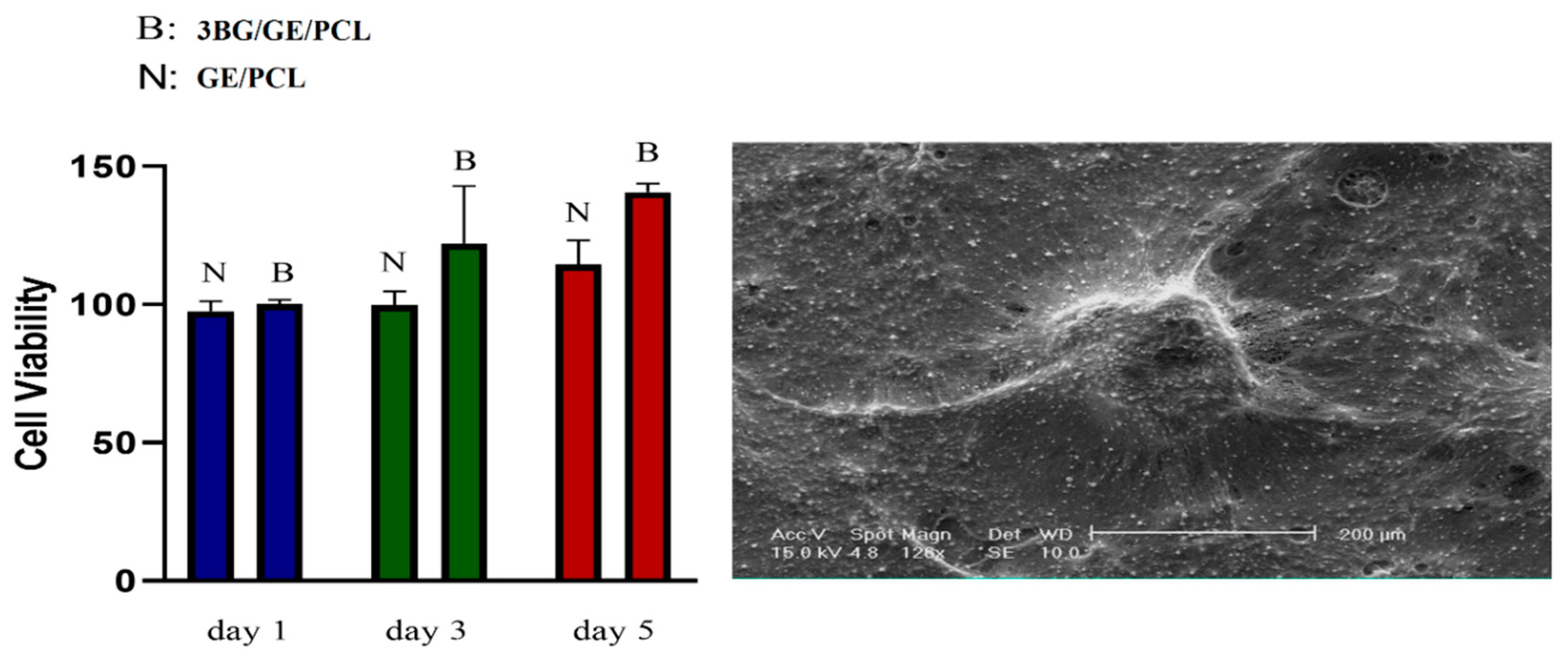 Coatings 10 01220 g007 Coatings 10 01220 g007