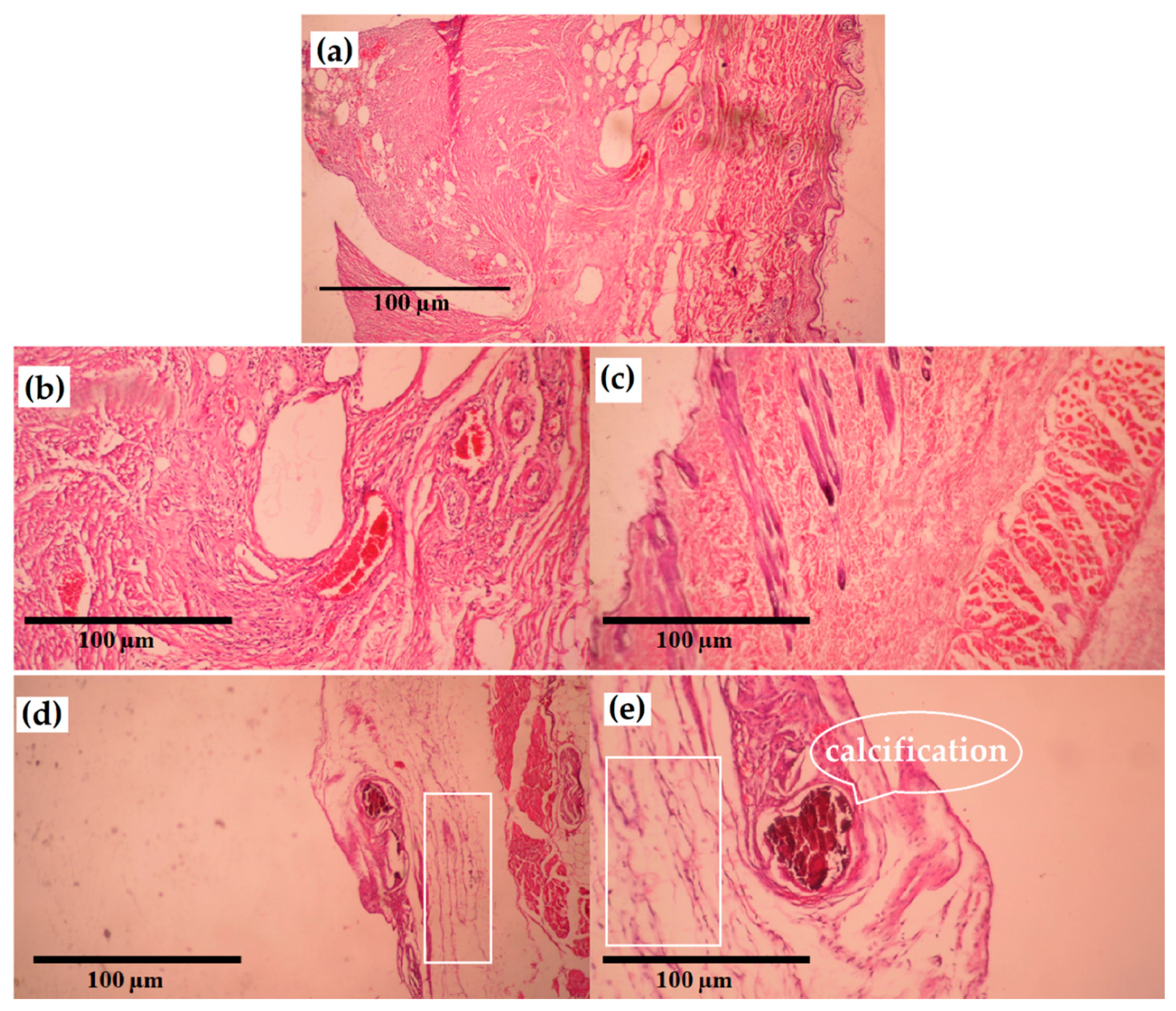 Coatings 10 01220 g008 Coatings 10 01220 g008
