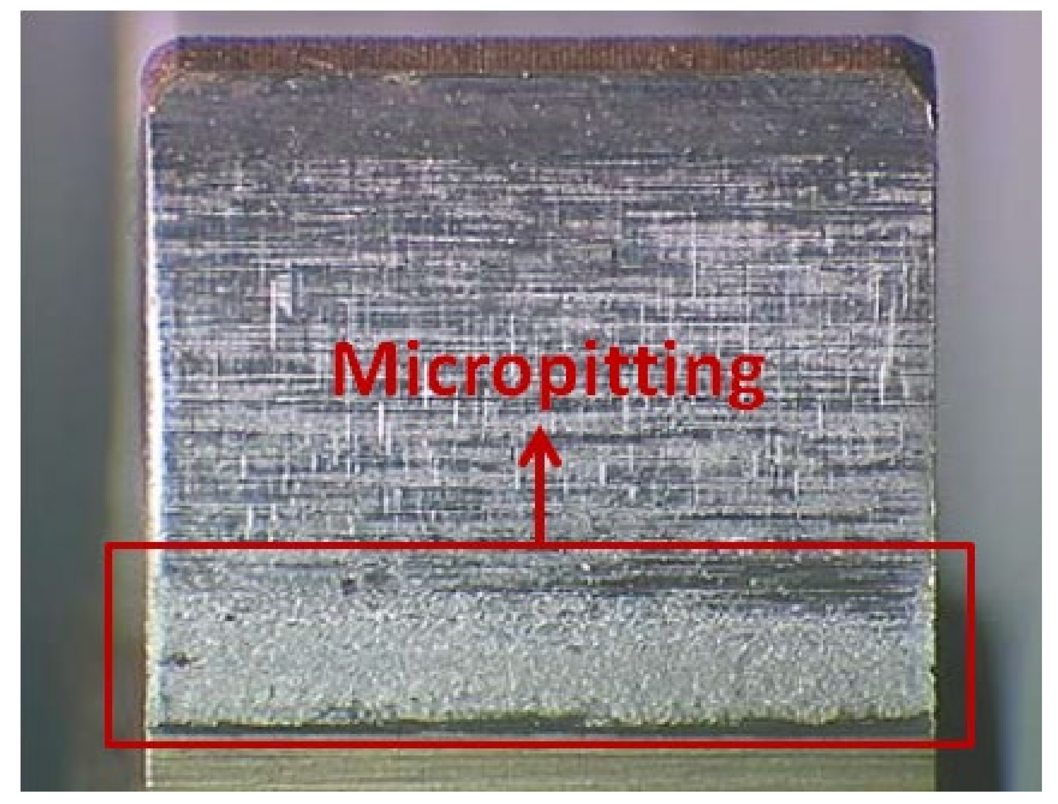 Coatings 10 01224 g002