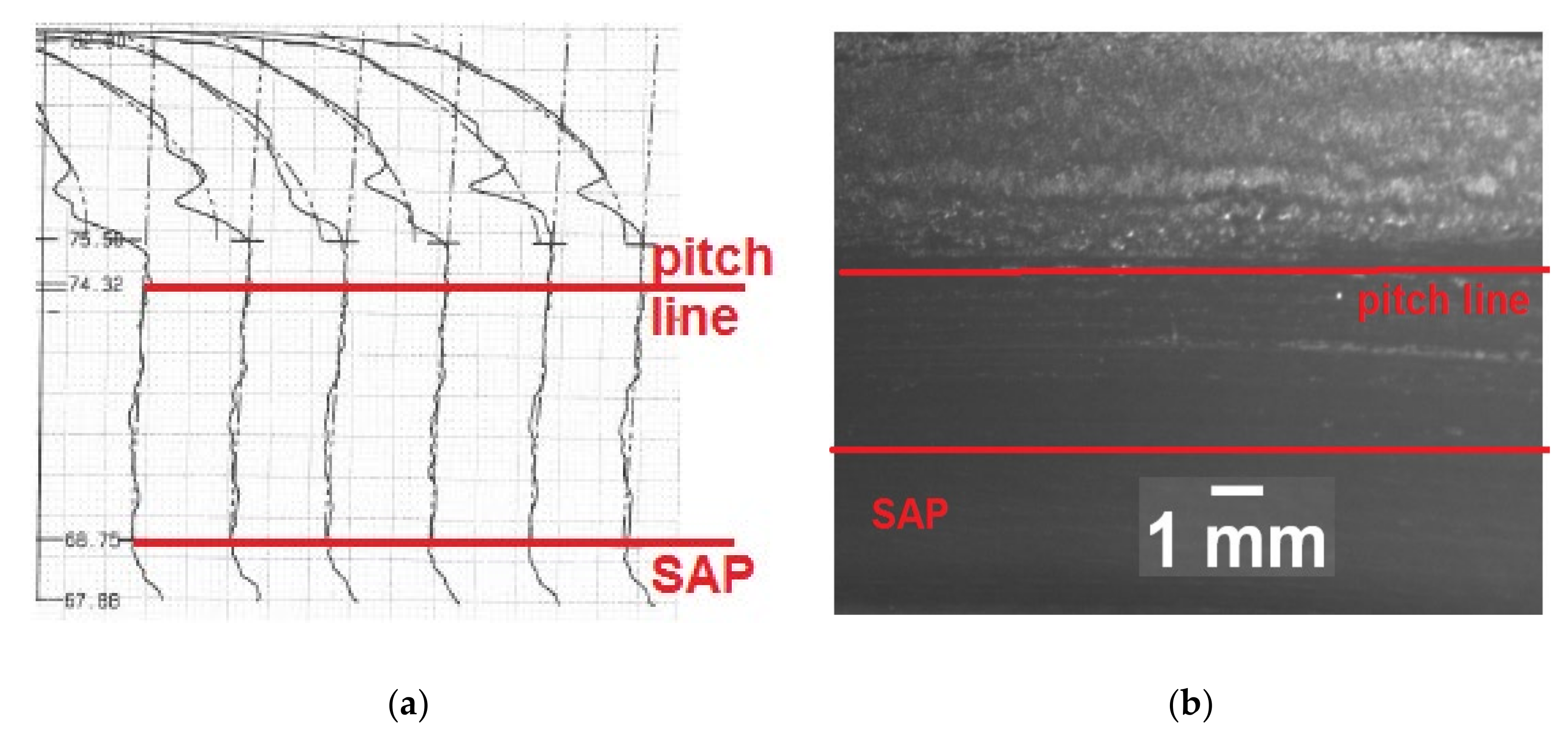 Coatings 10 01224 g003