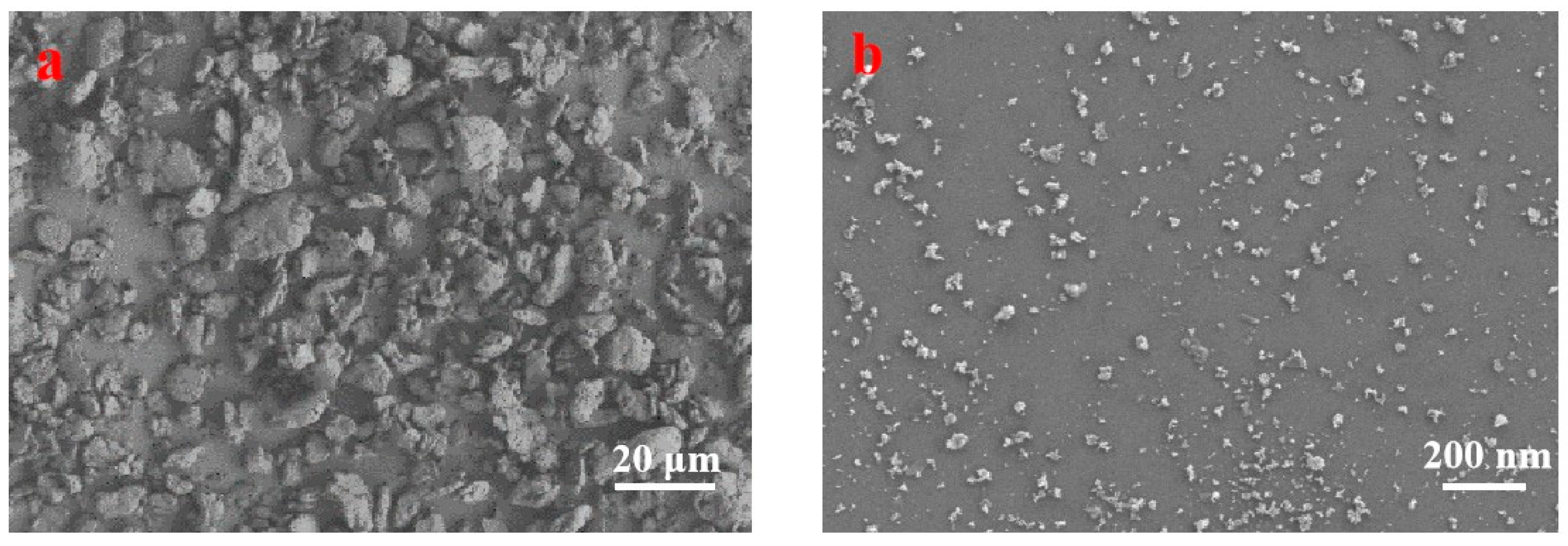 Coatings 10 01226 g002 Coatings 10 01226 g002