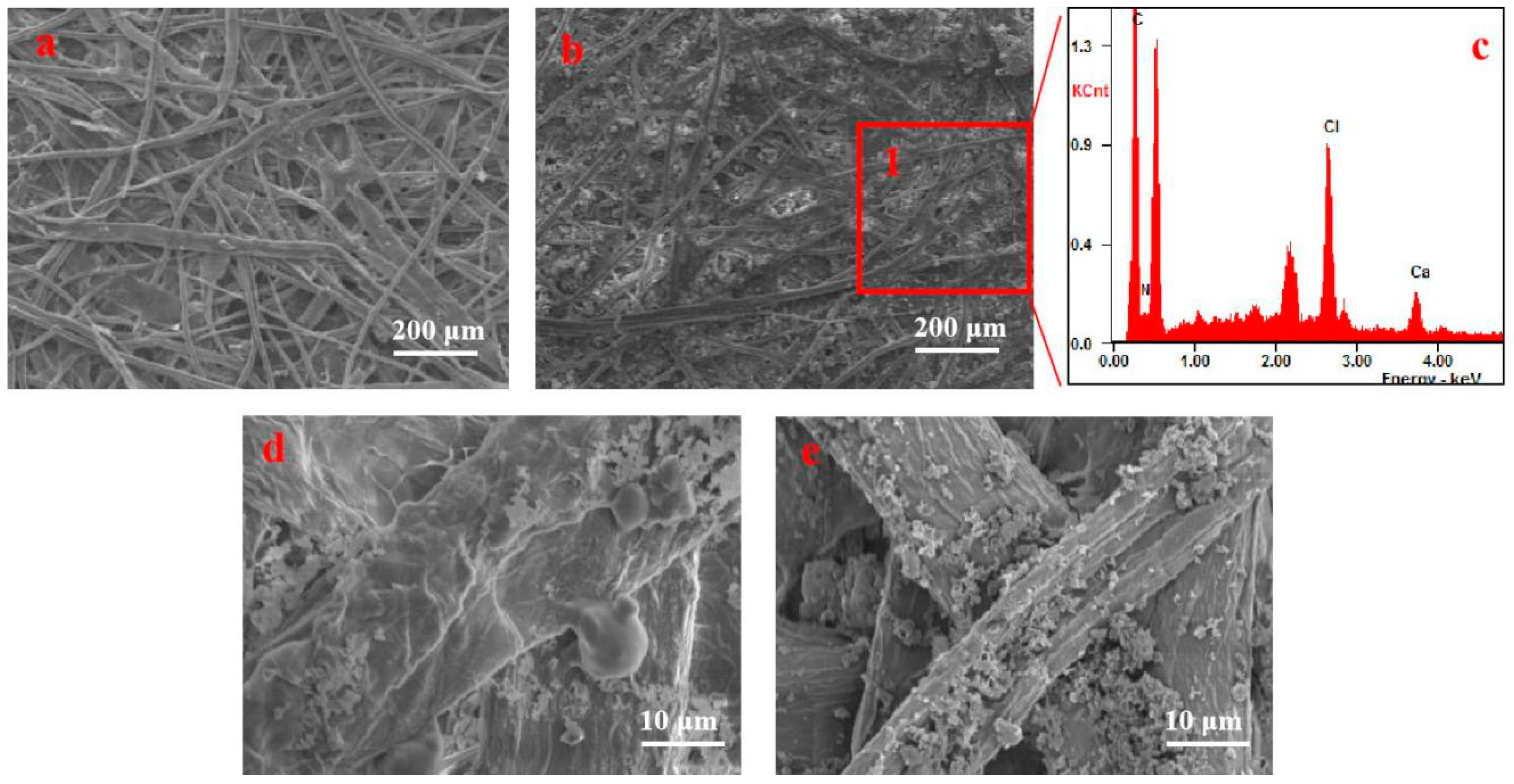 Coatings 10 01226 g009 Coatings 10 01226 g009