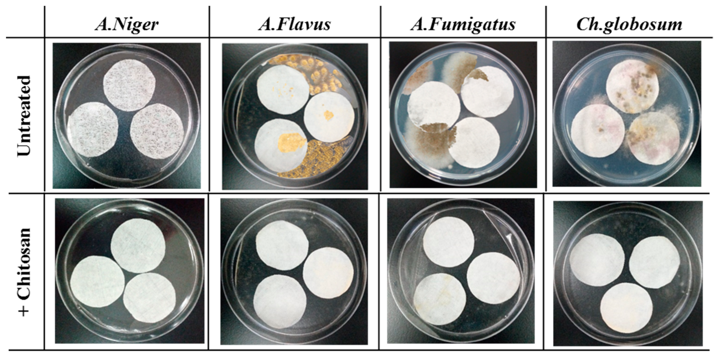 Coatings 10 01226 g013 Coatings 10 01226 g013