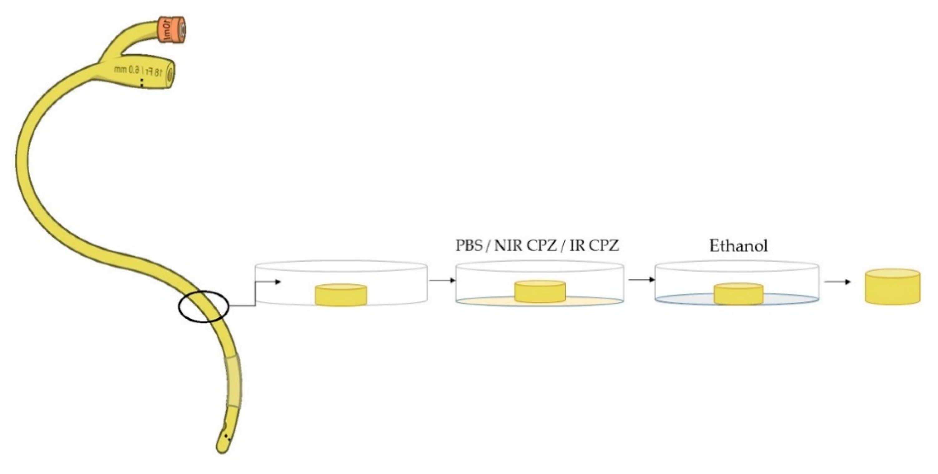 Coatings 10 01230 g001 Coatings 10 01230 g001