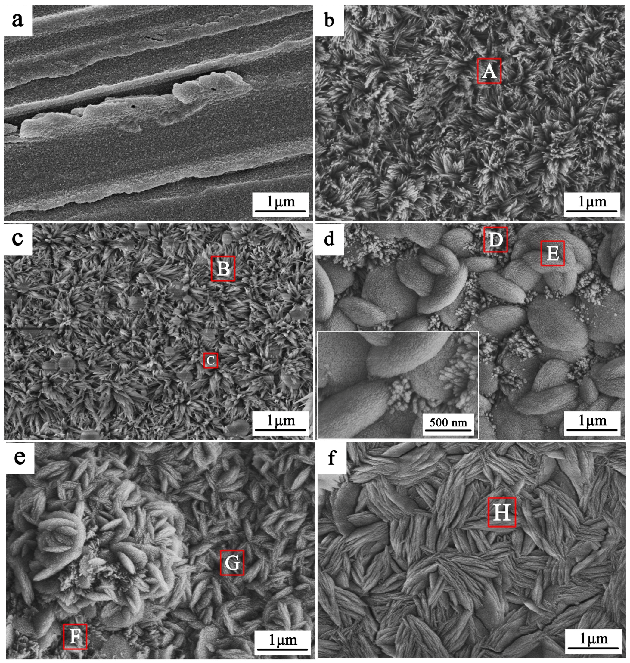 Coatings 10 01232 g002 Coatings 10 01232 g002