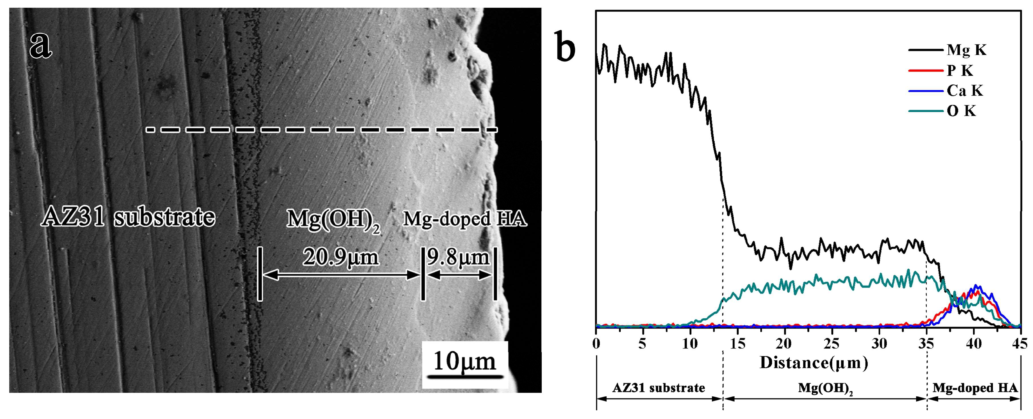 Coatings 10 01232 g003 Coatings 10 01232 g003