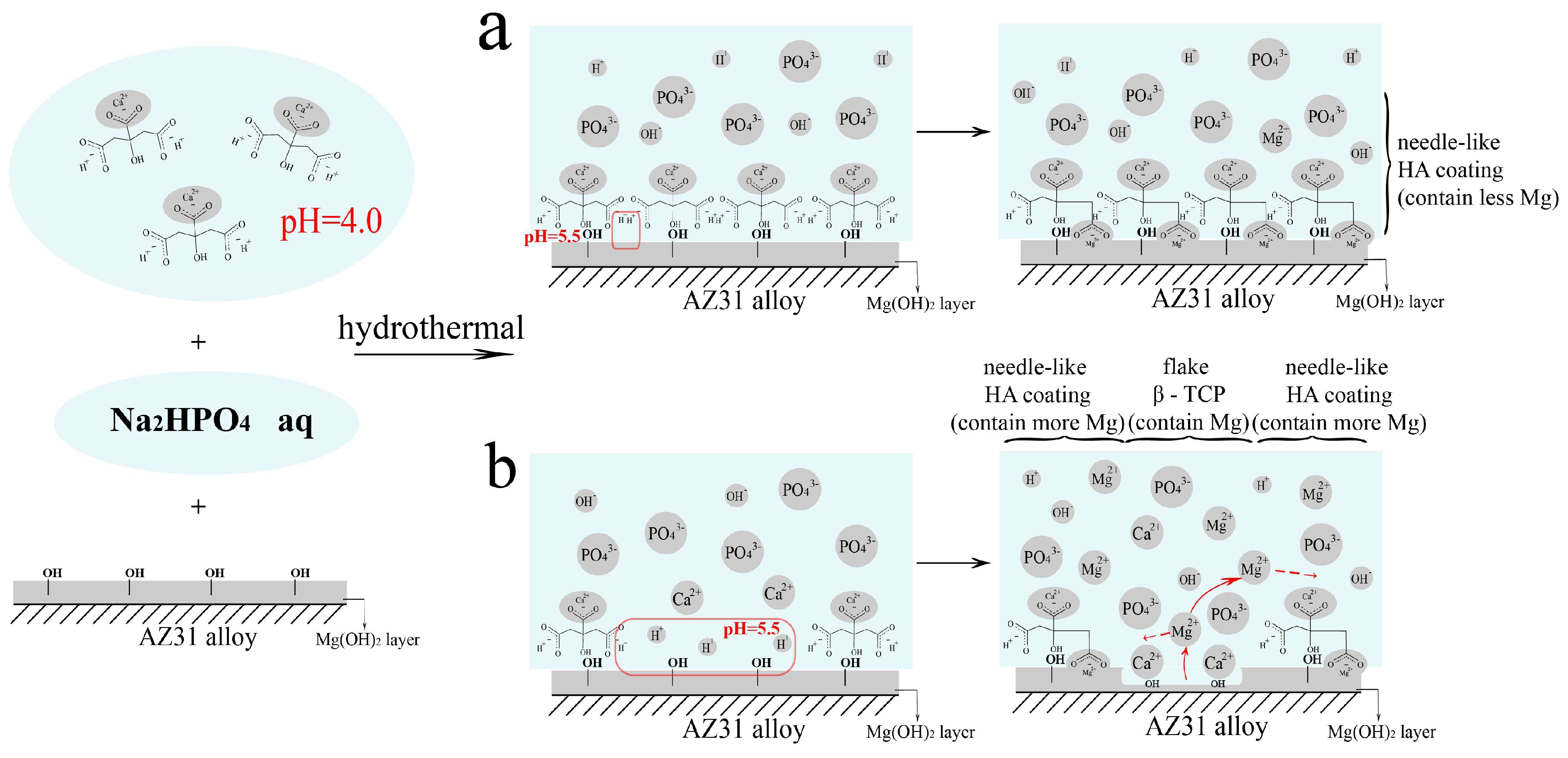 Coatings 10 01232 g005 Coatings 10 01232 g005
