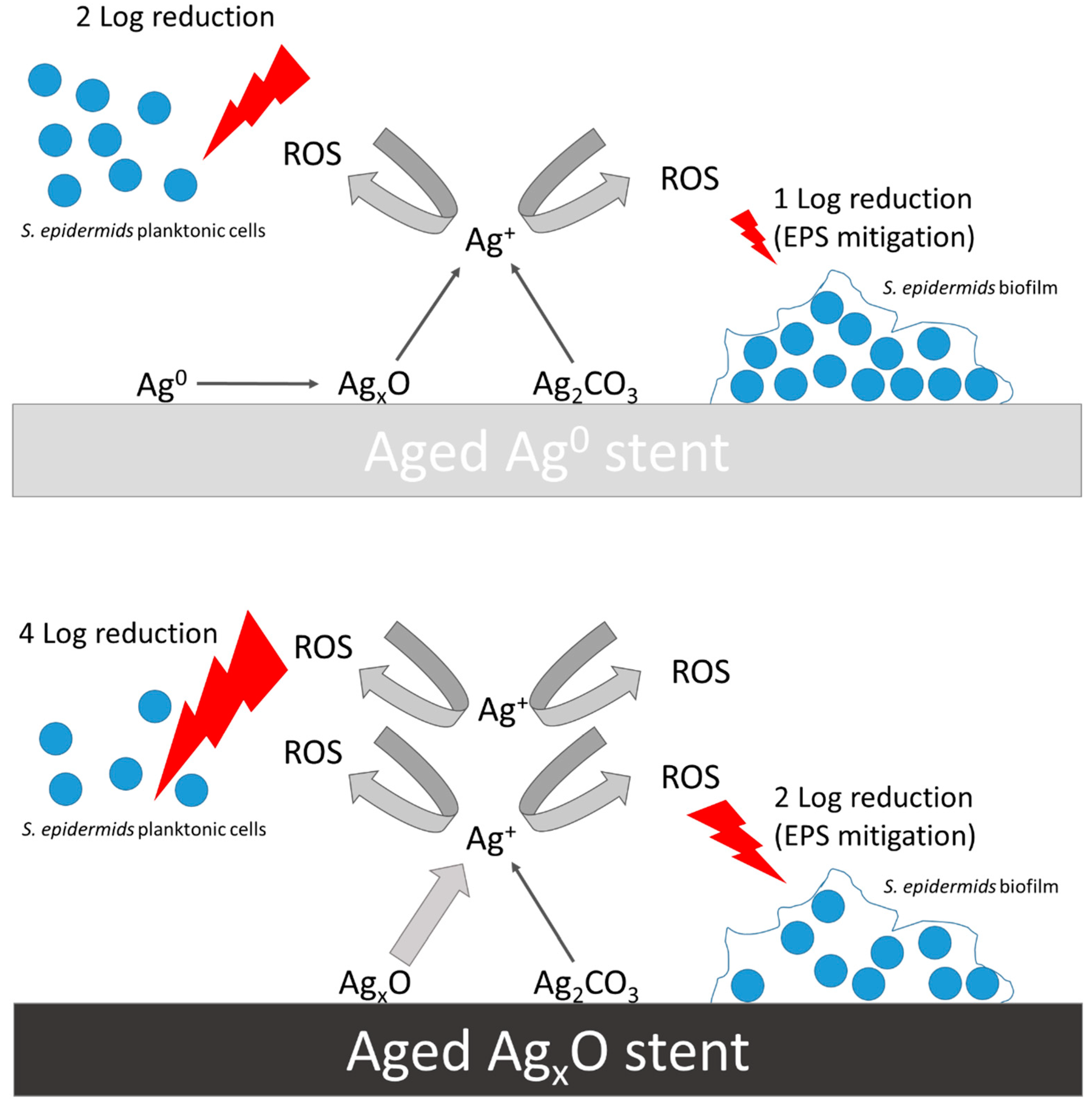 Coatings 10 01234 g010