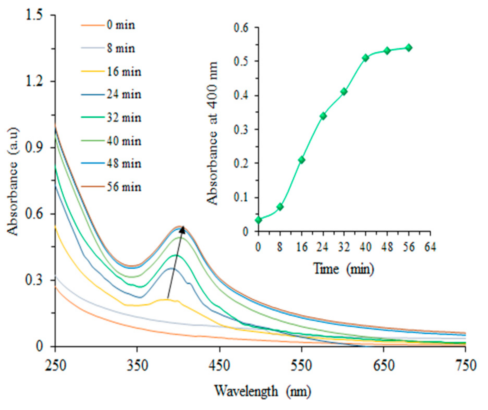 Coatings 10 01235 g003 Coatings 10 01235 g003
