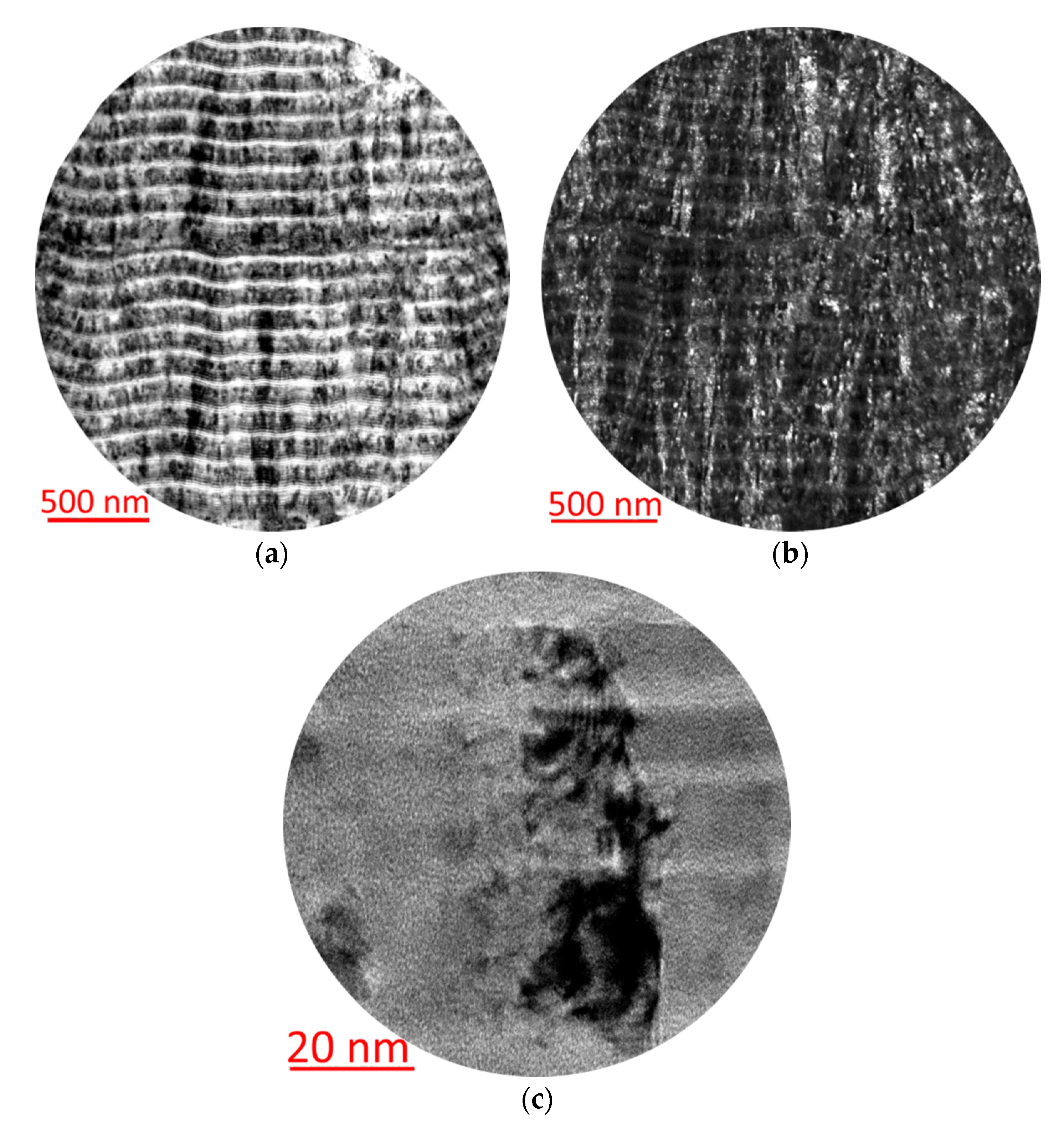 Coatings 10 01236 g004 Coatings 10 01236 g004