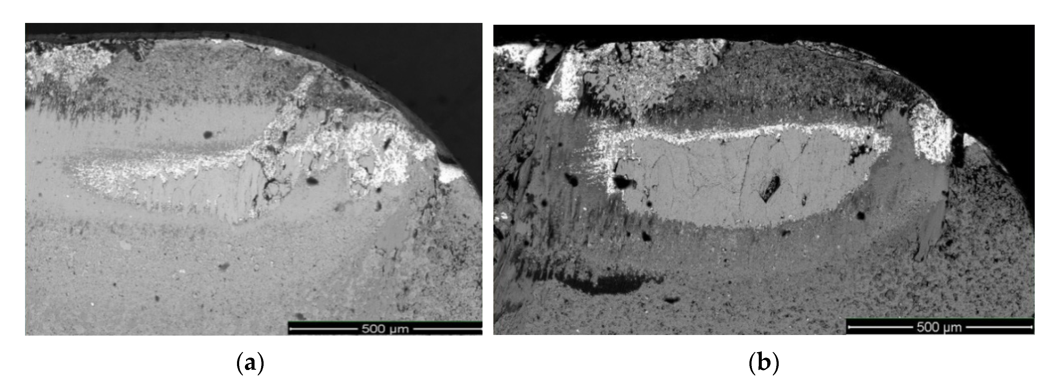 Coatings 10 01236 g007 Coatings 10 01236 g007