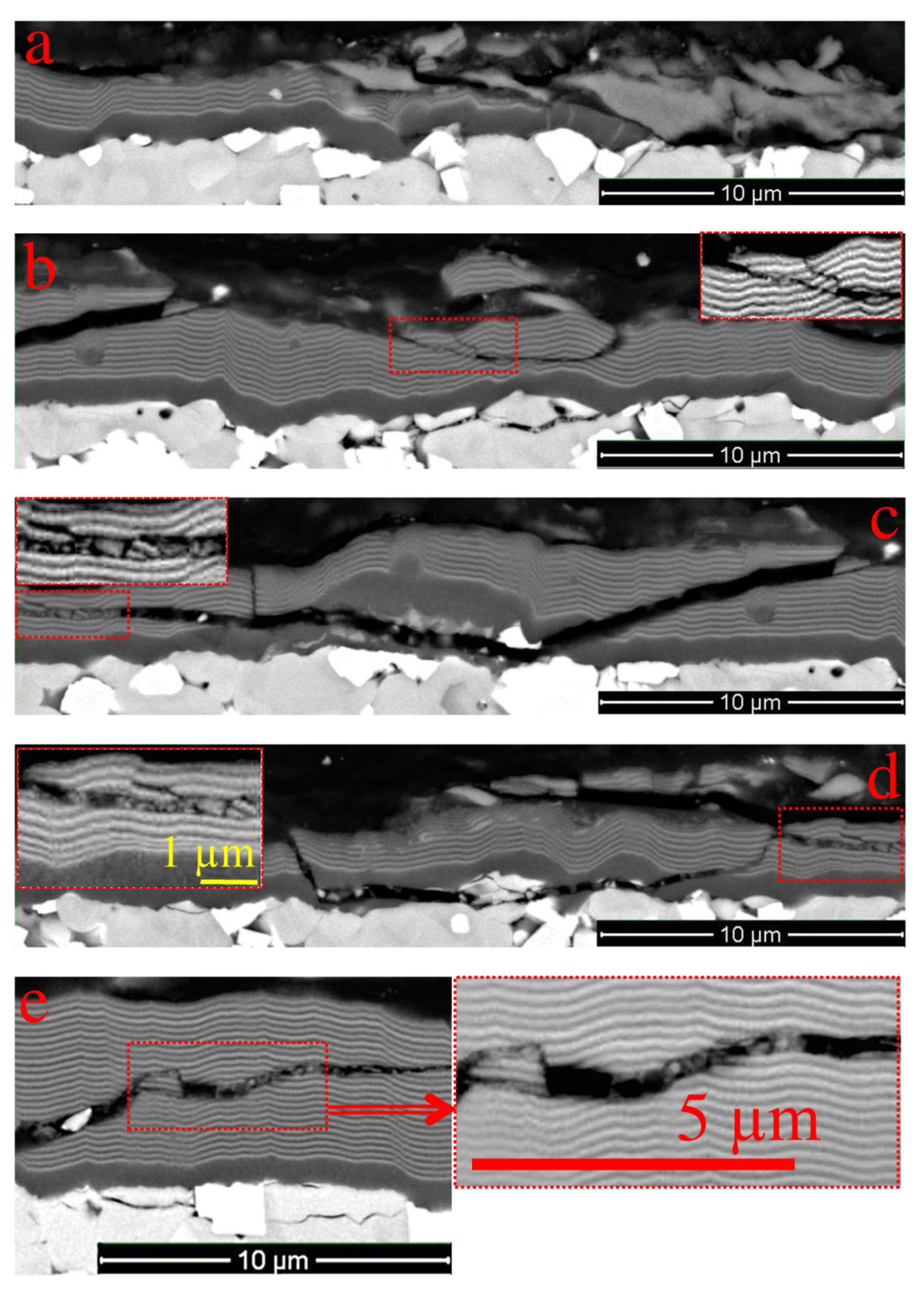 Coatings 10 01236 g009 Coatings 10 01236 g009