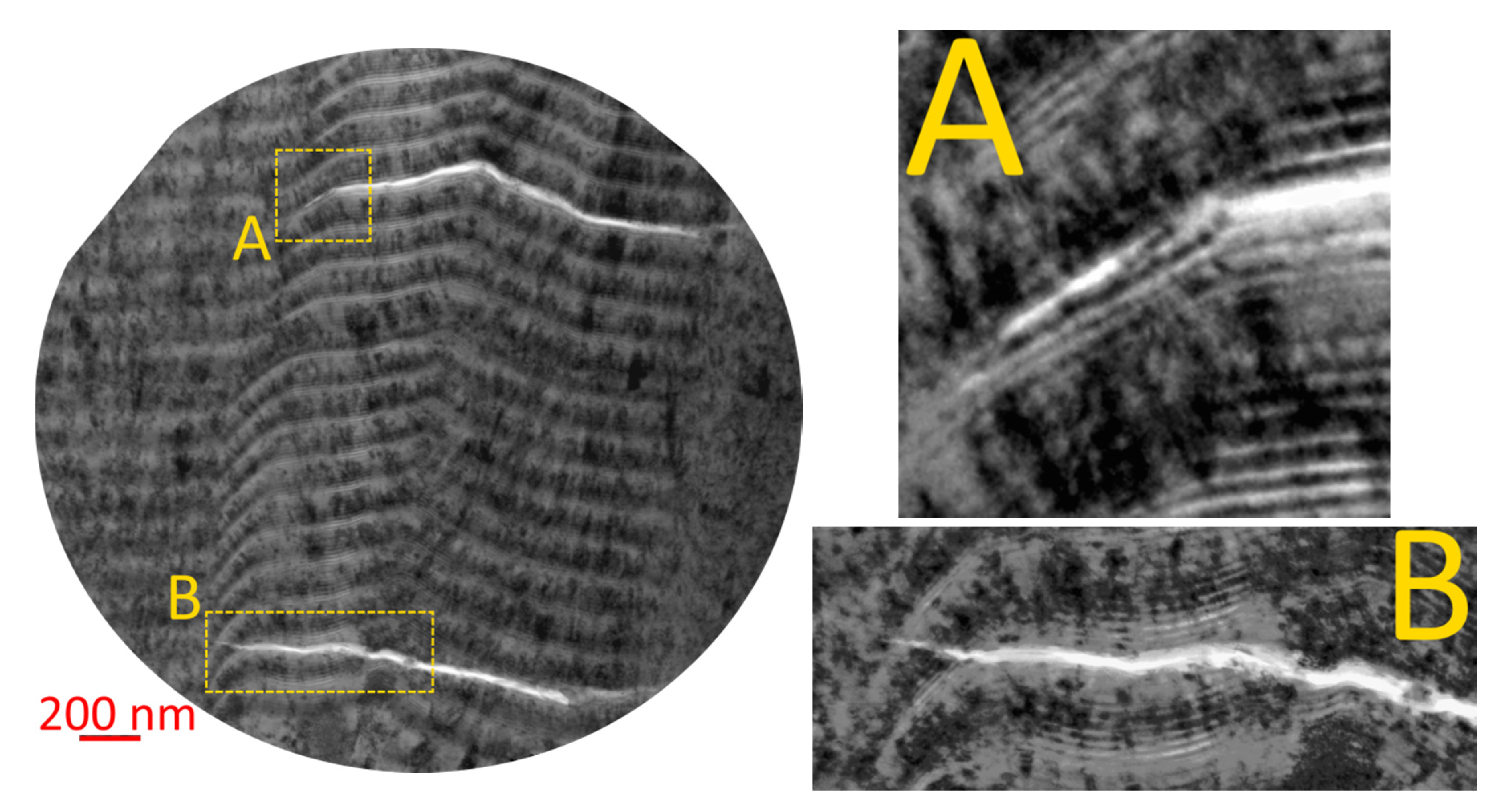 Coatings 10 01236 g010 Coatings 10 01236 g010