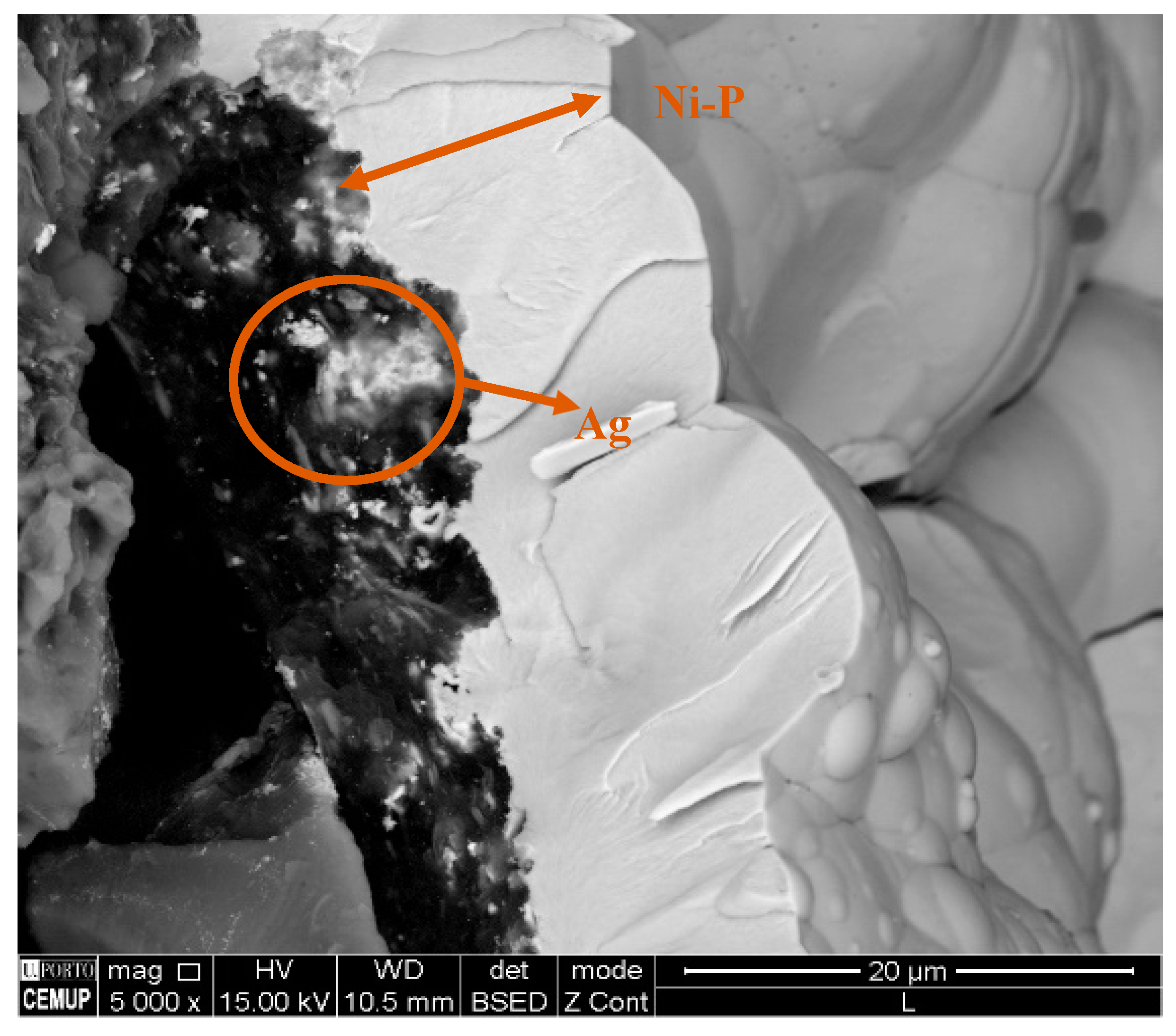 Coatings 10 01237 g007 Coatings 10 01237 g007