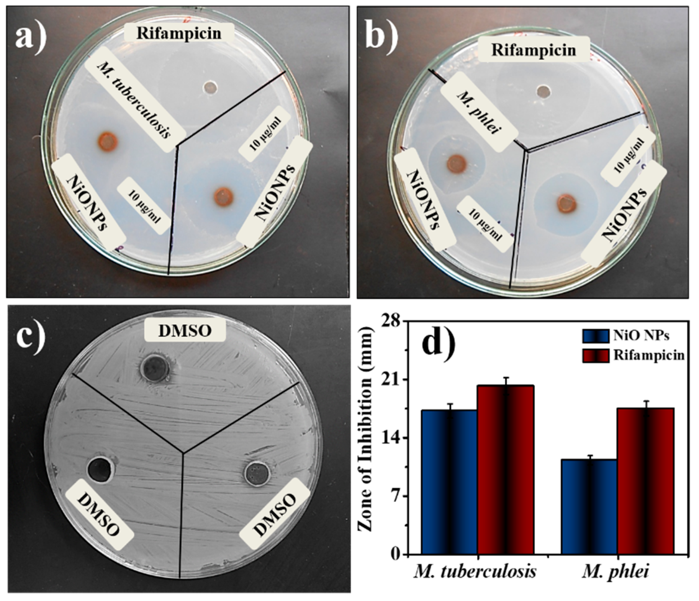 Coatings 10 01242 g003