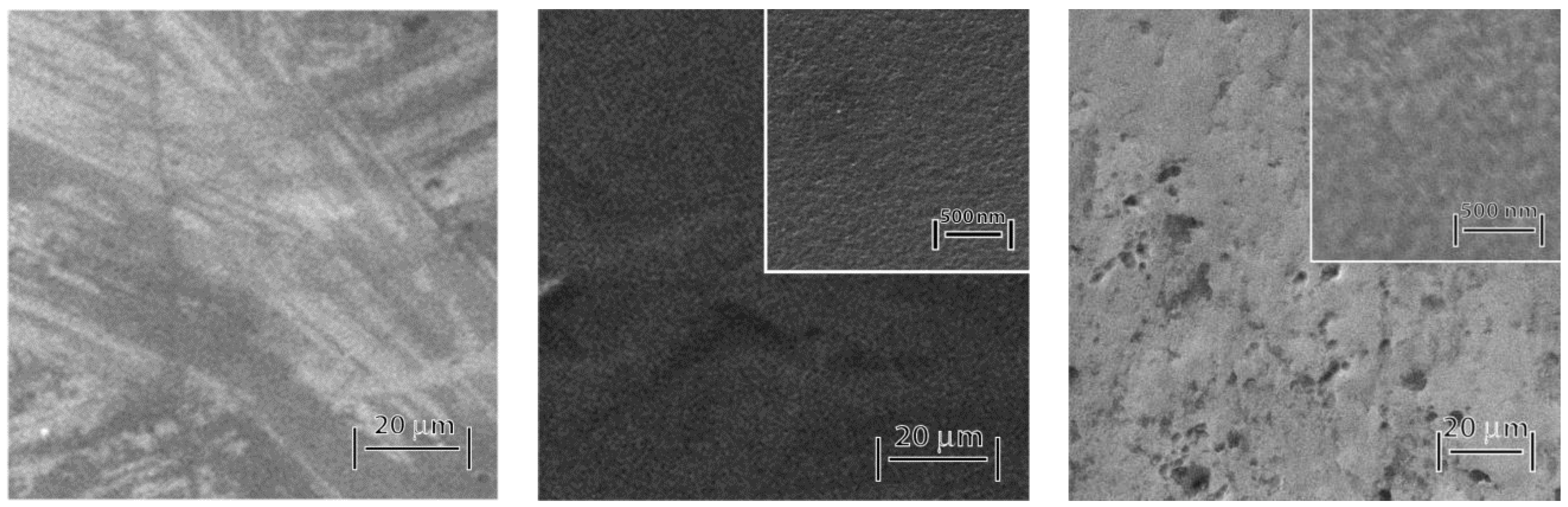 Coatings 10 01243 g002